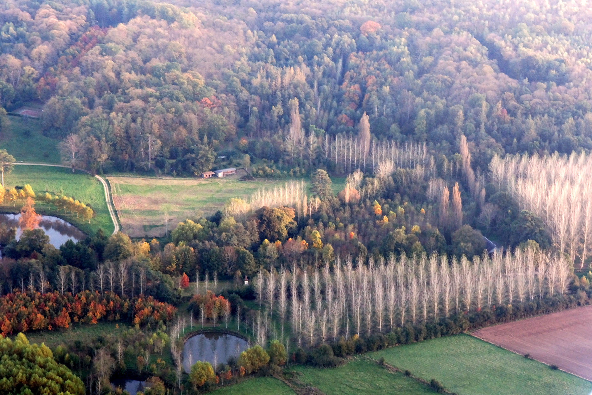 AvionYvelines2006 011
