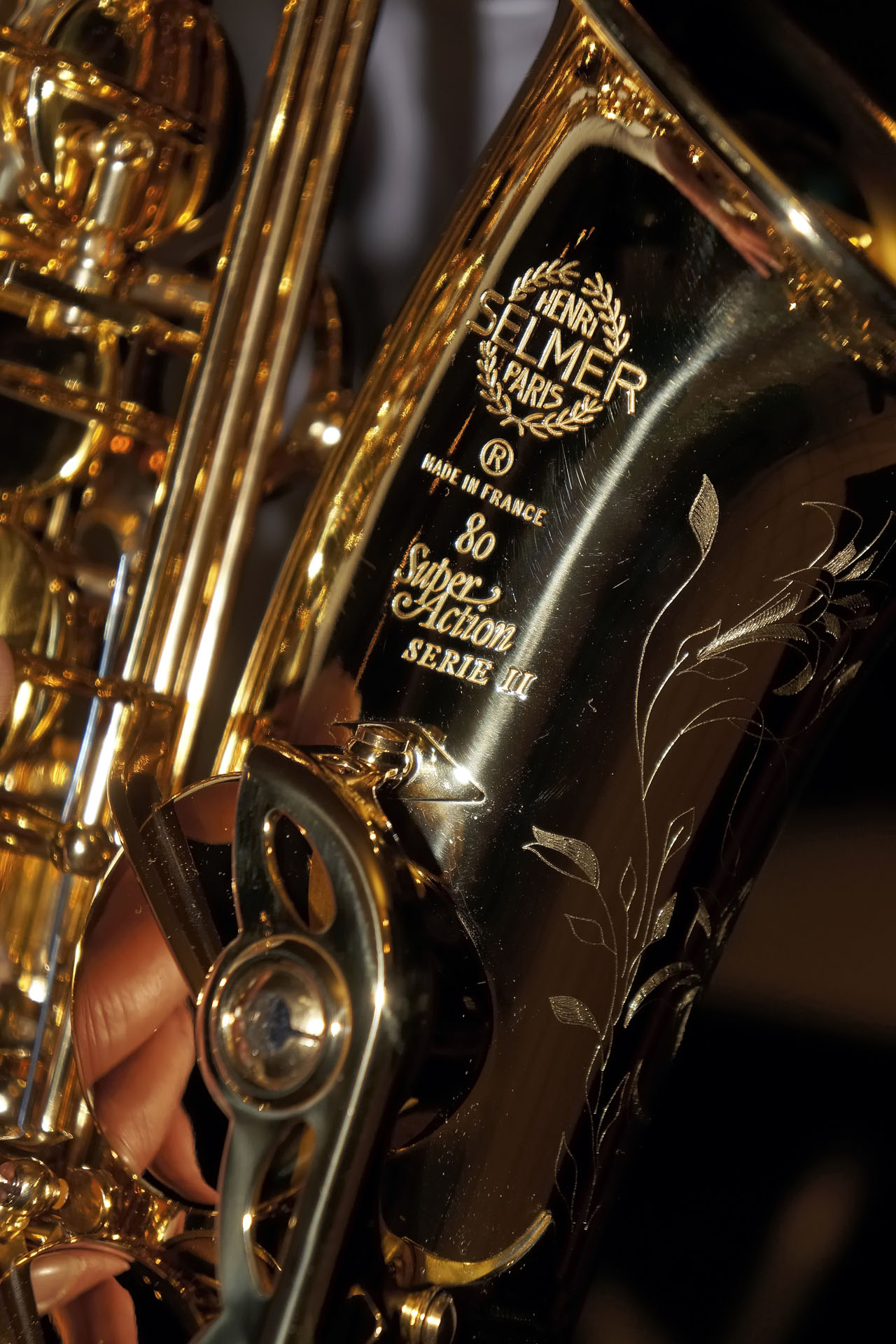 BernardSaxo 004