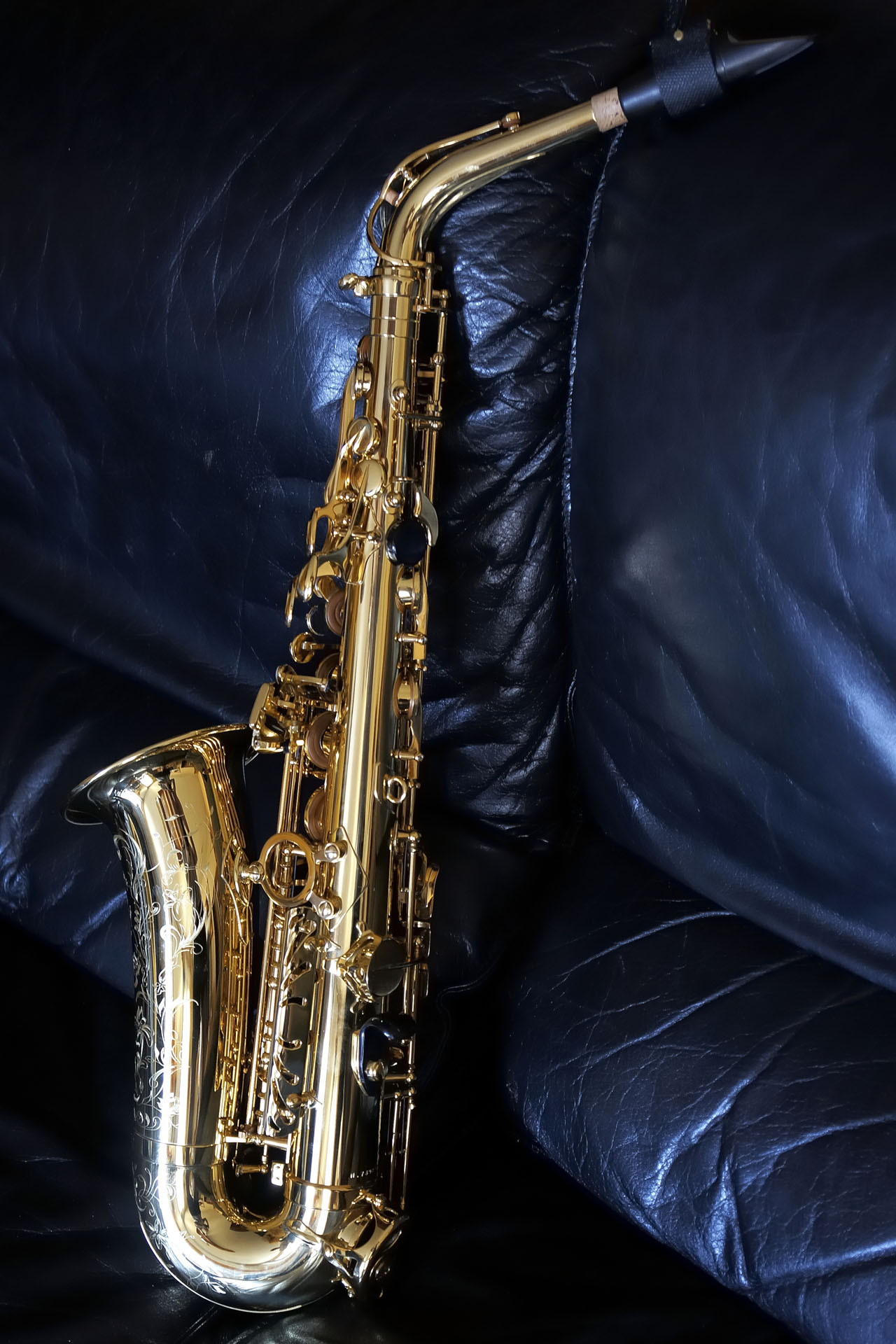BernardSaxo 007