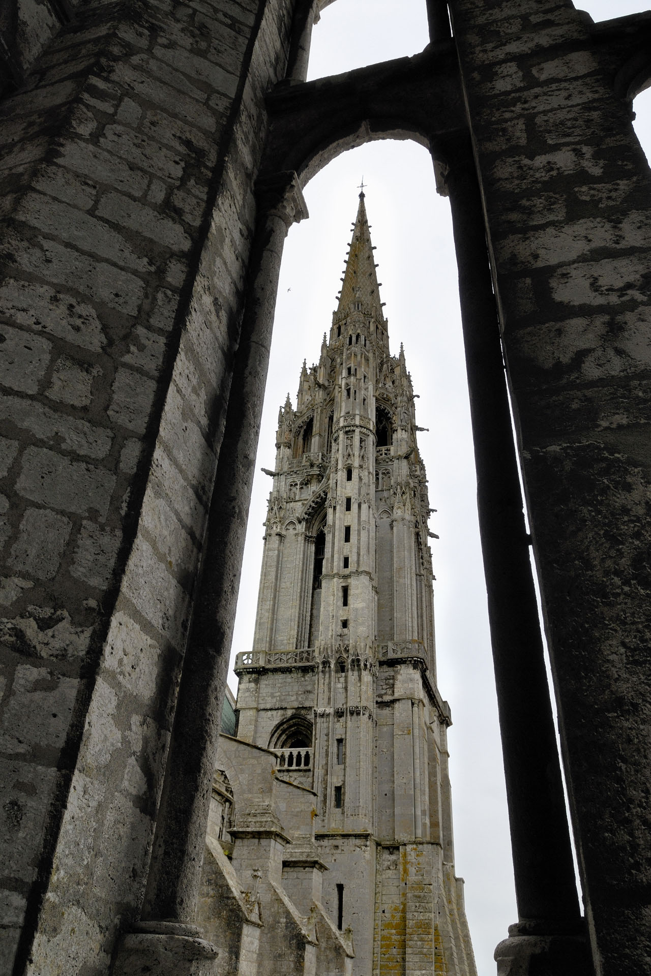 CathedraleChartres 023