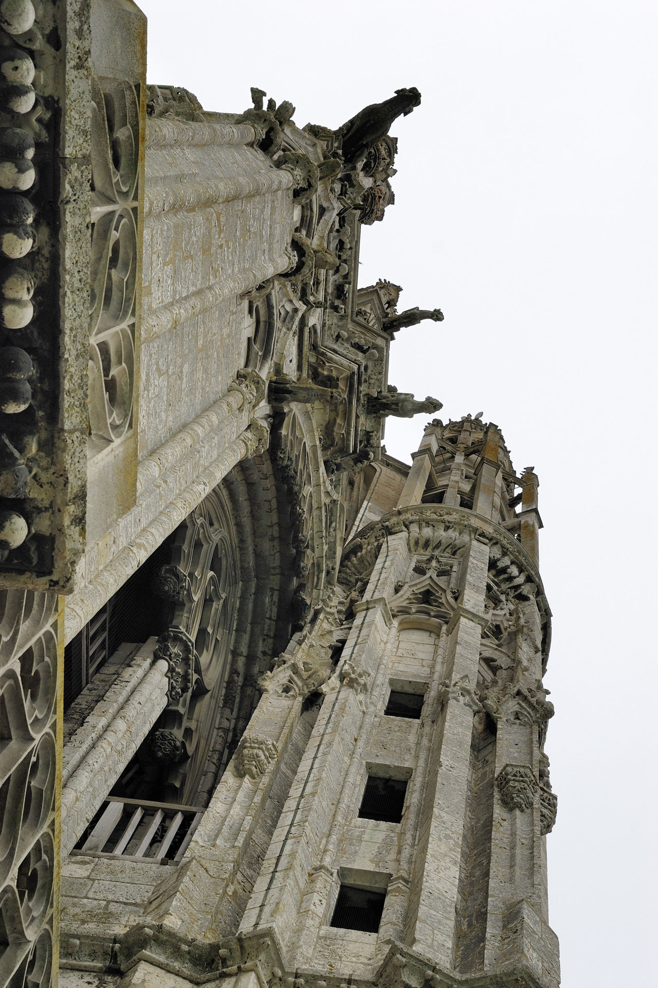 CathedraleChartres 044