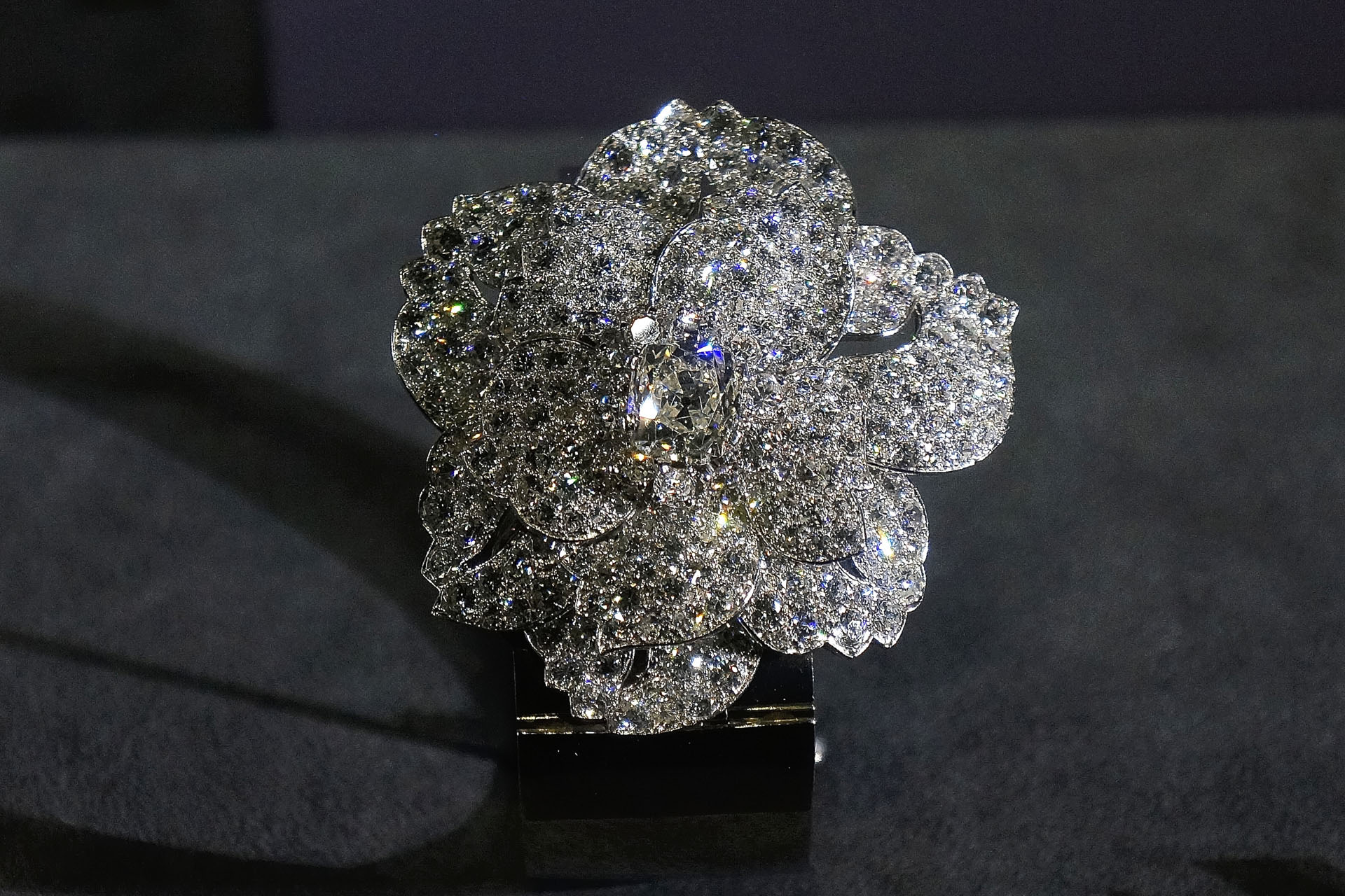 ExpoCartier 088