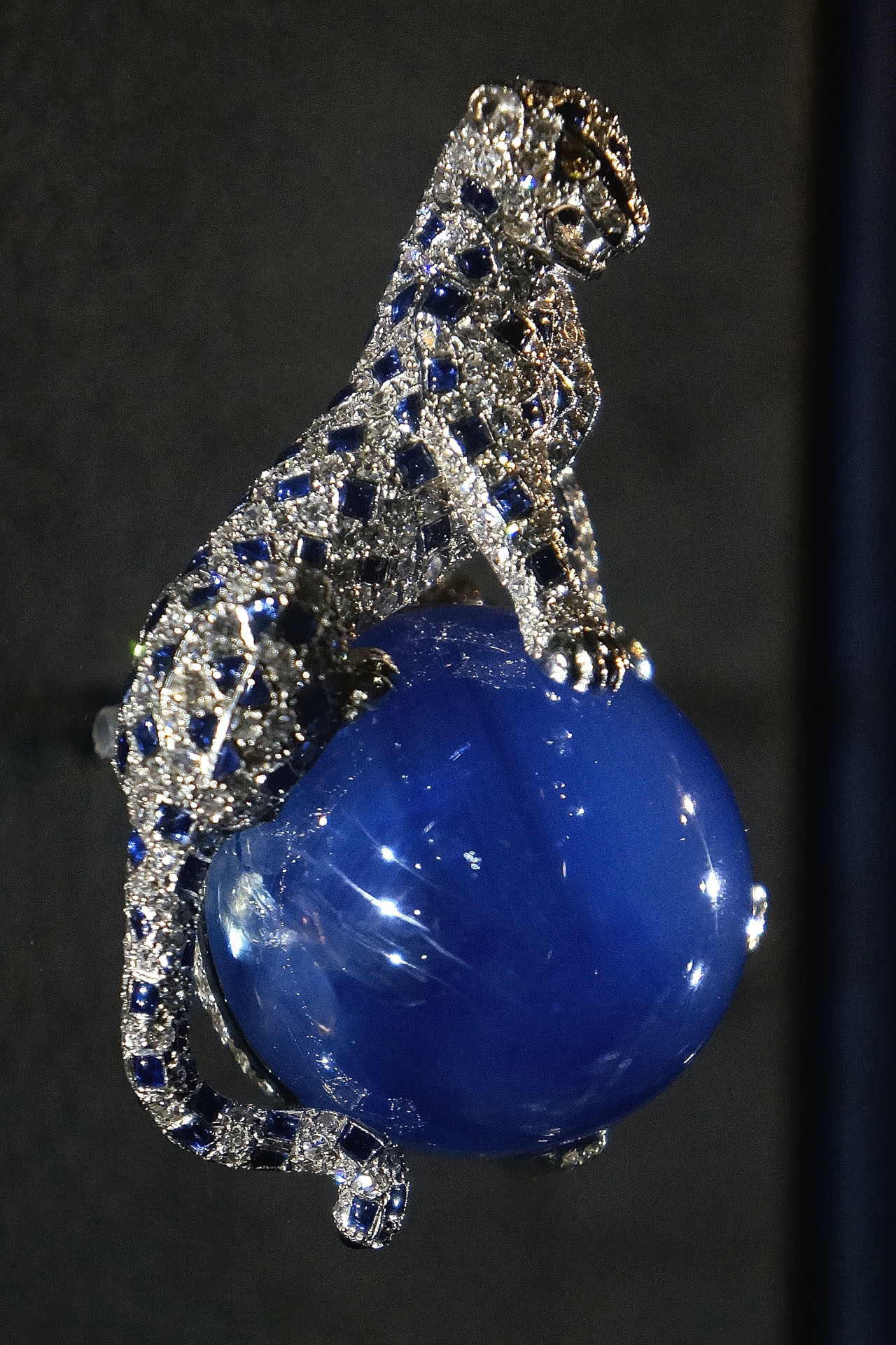 ExpoCartier 102