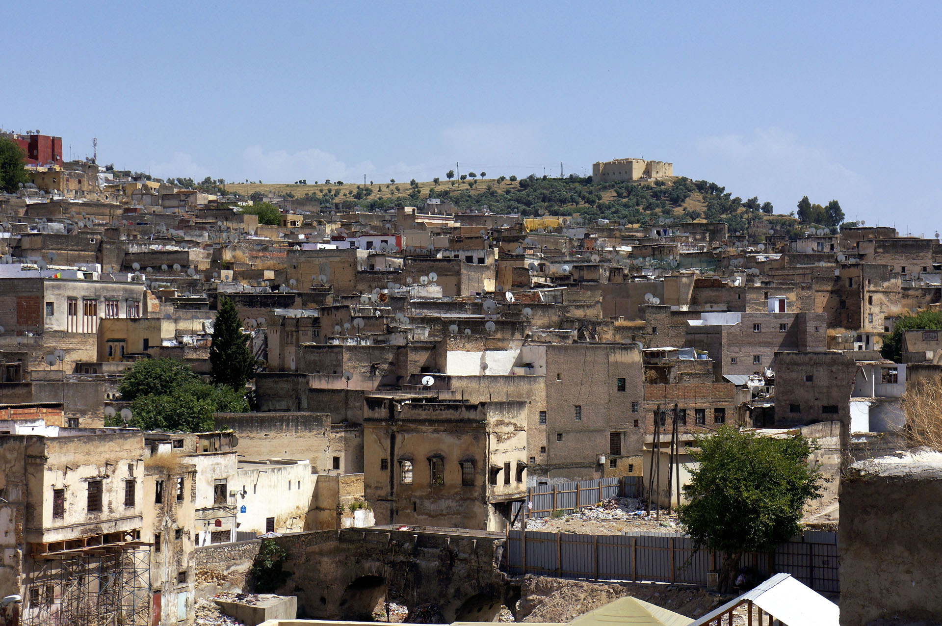 FesTala-A 069