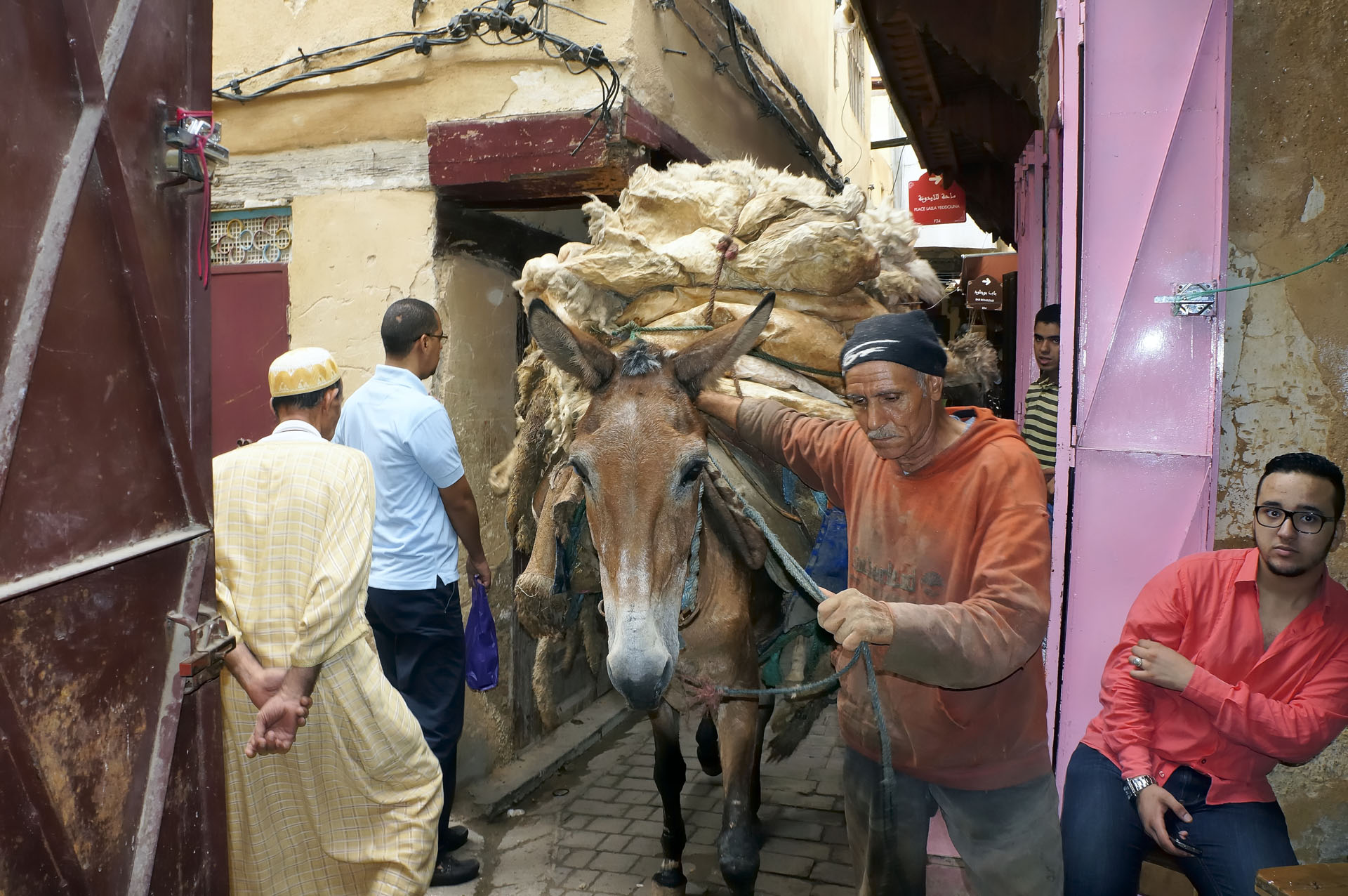 FesTala-A Commerce 002