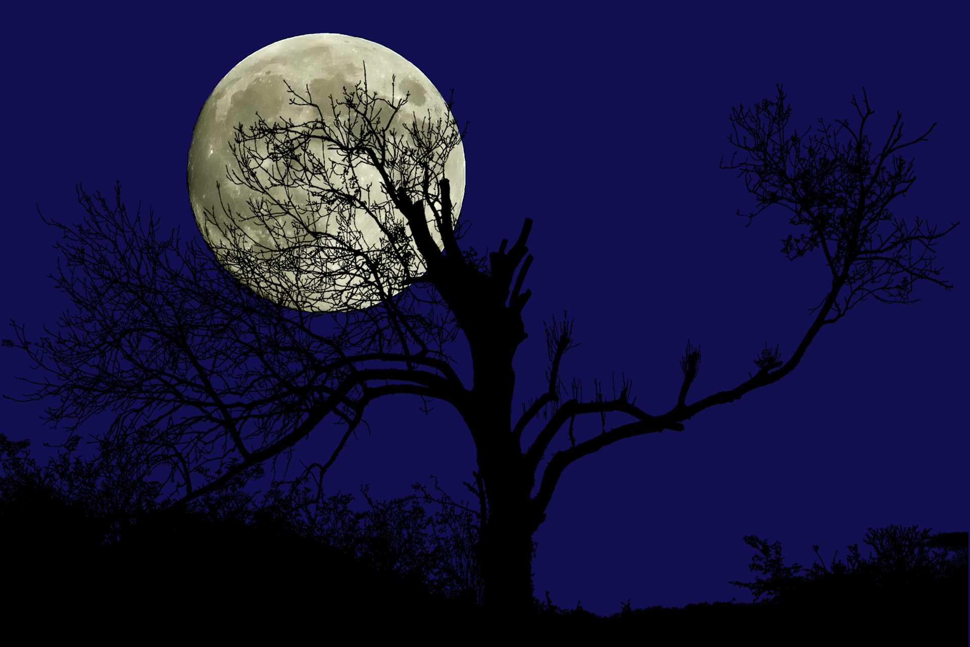 Lune 001