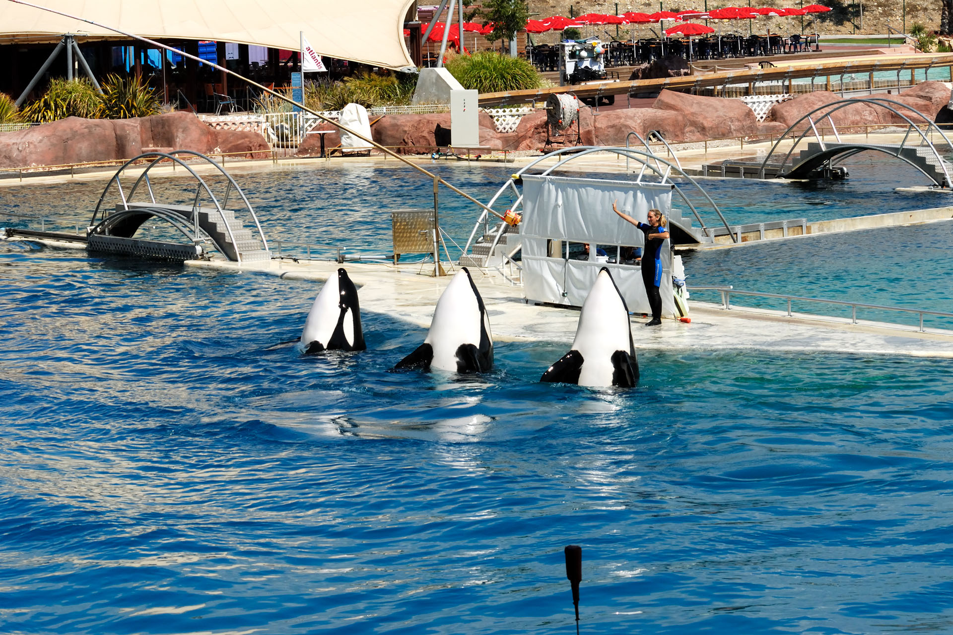 Marineland2006 002