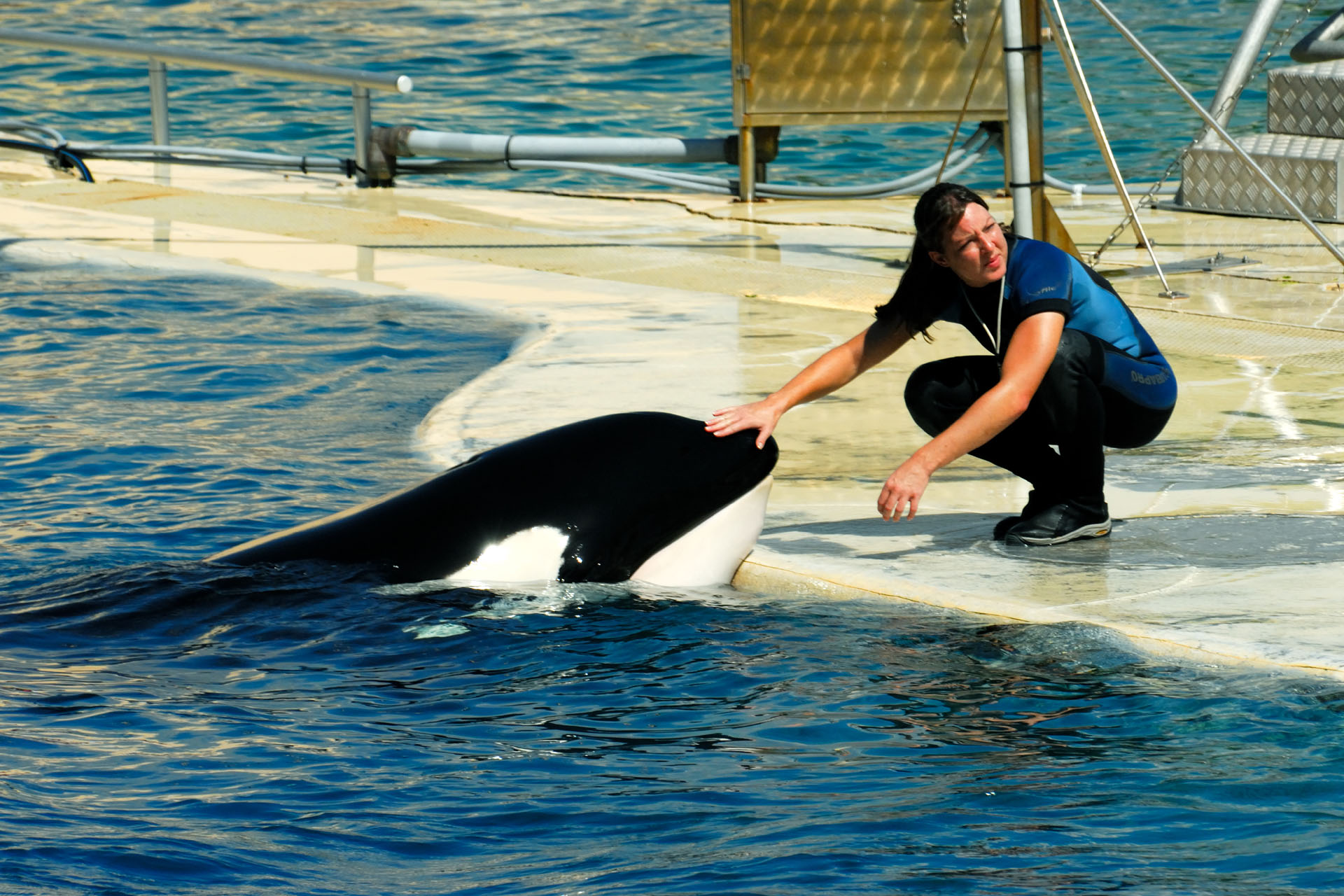 Marineland2006 007