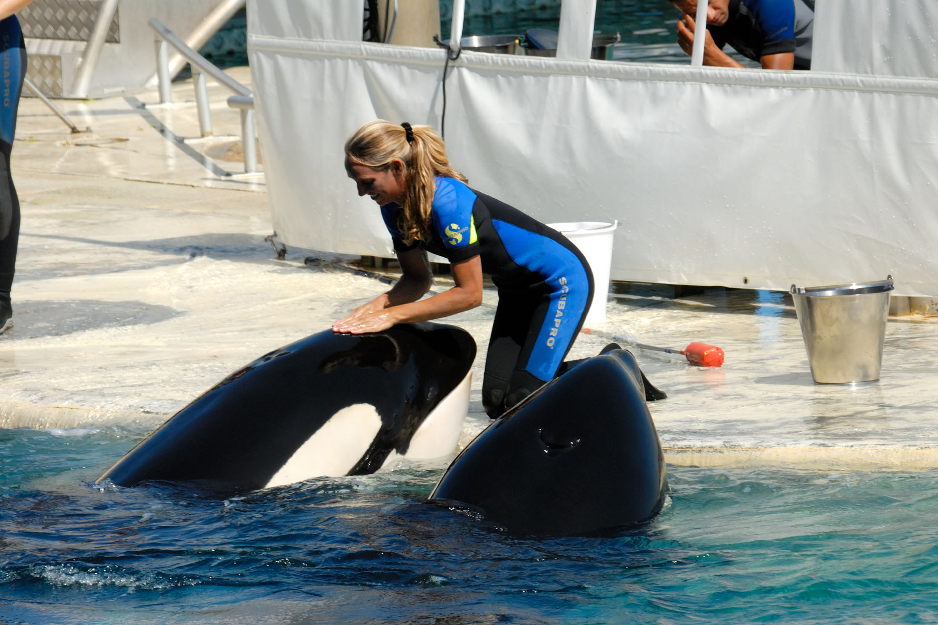 Marineland2006 008