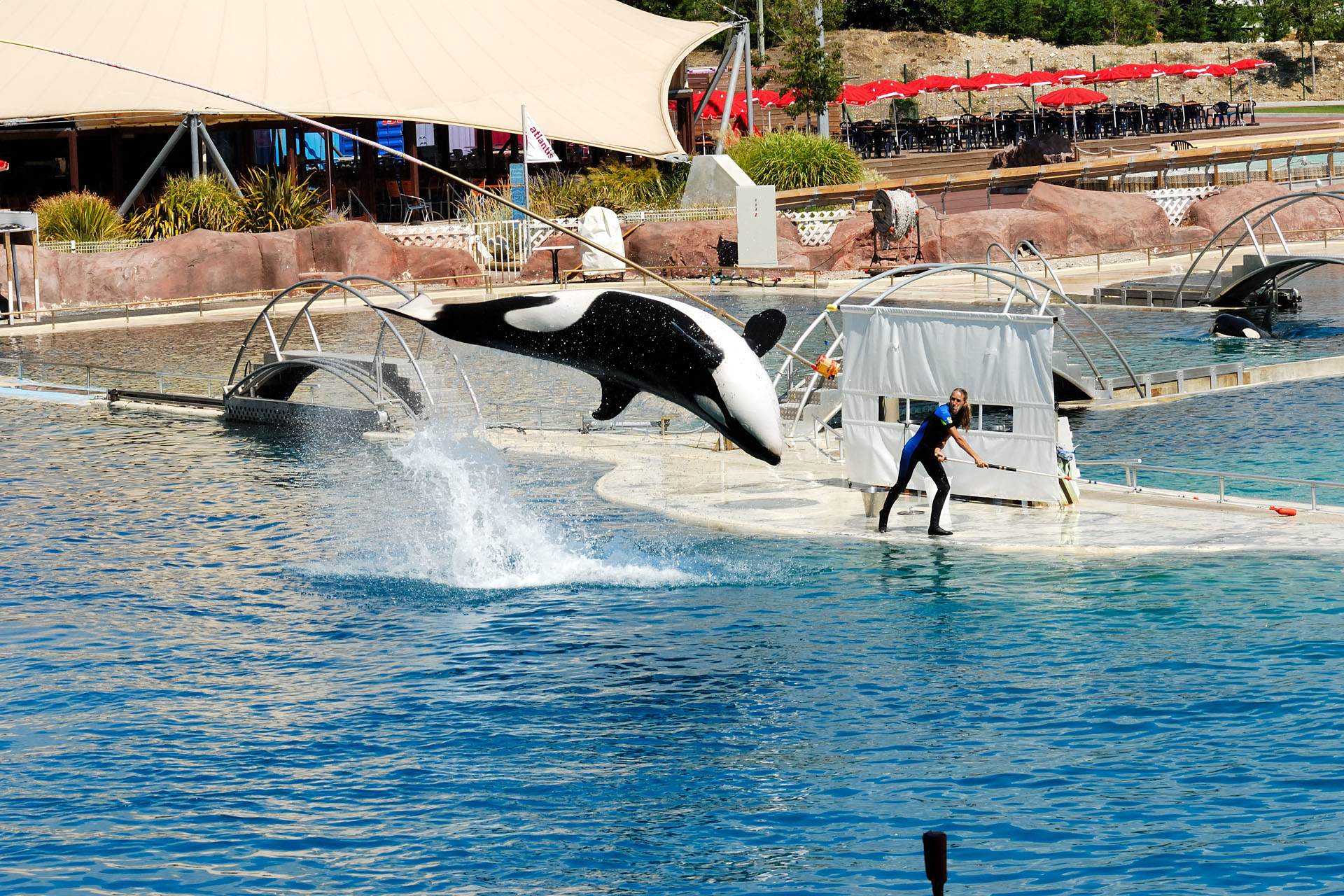 Marineland2006 011