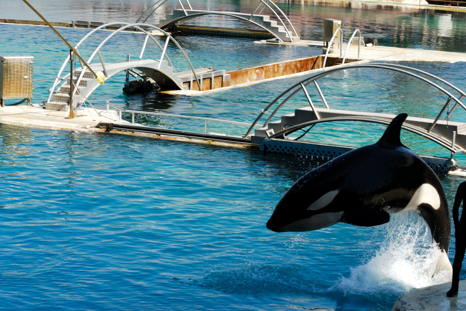Marineland2006 012