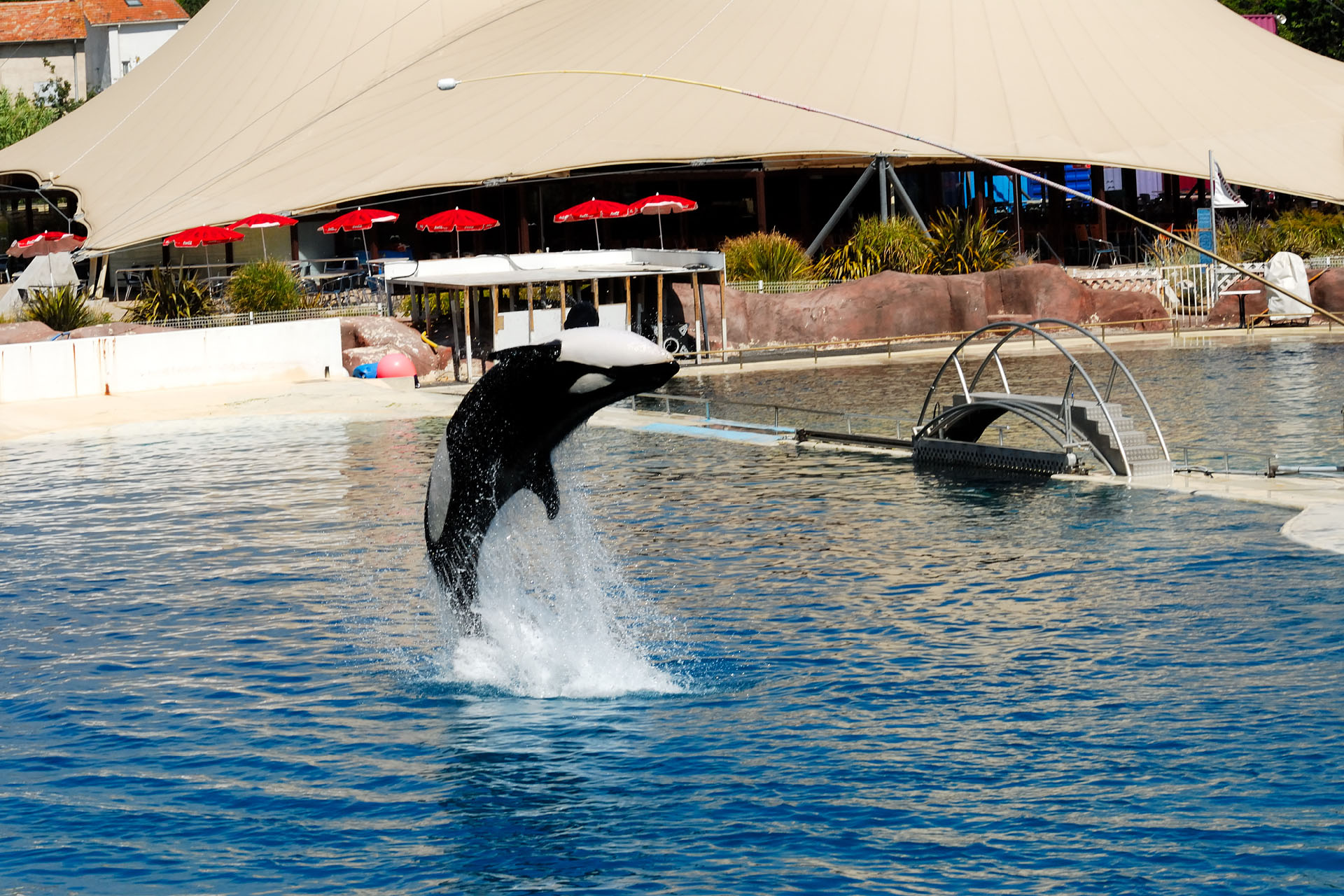 Marineland2006 013