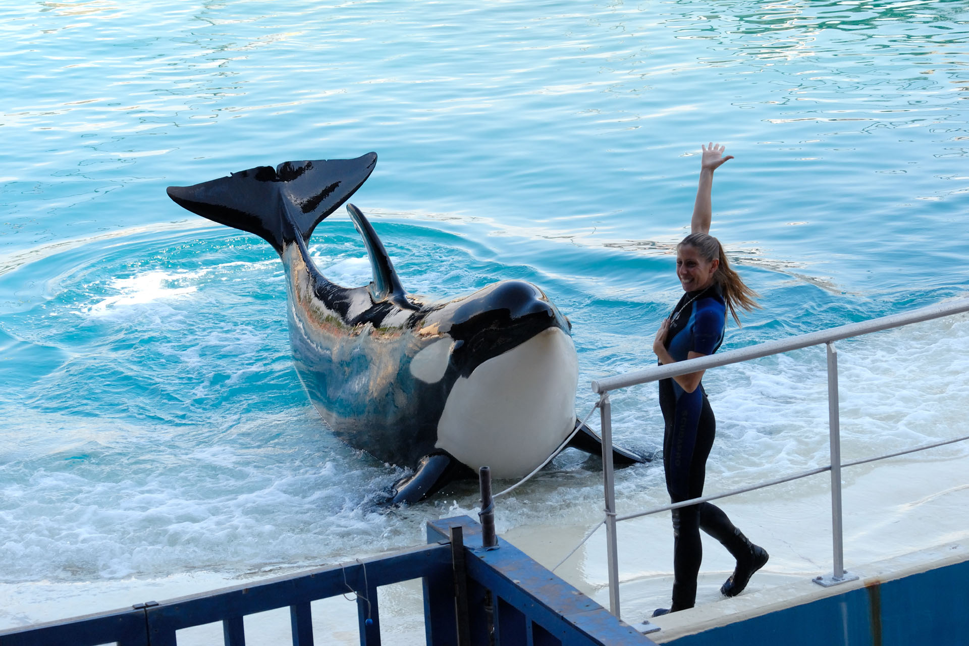 Marineland2006 014