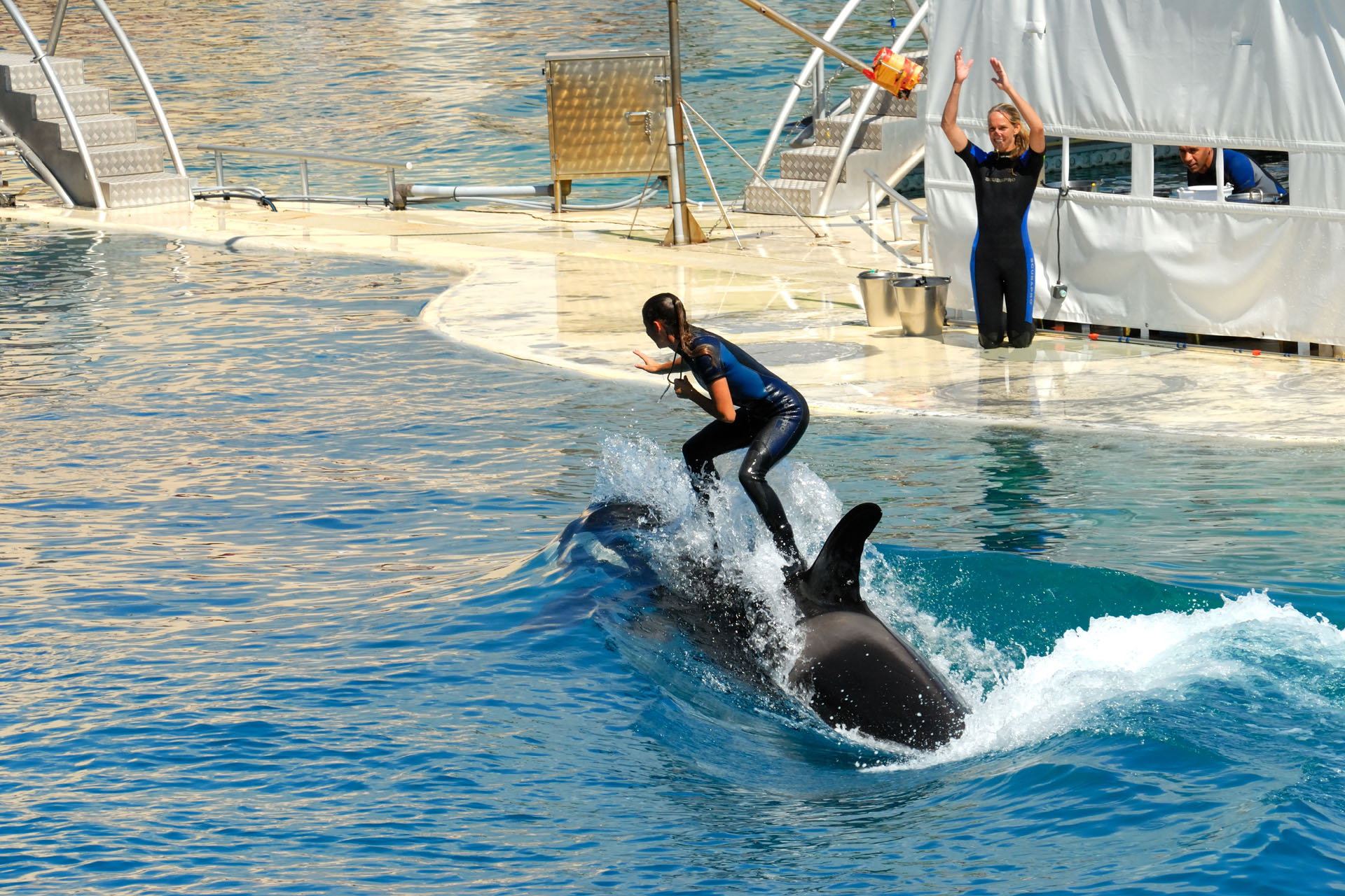 Marineland2006 015