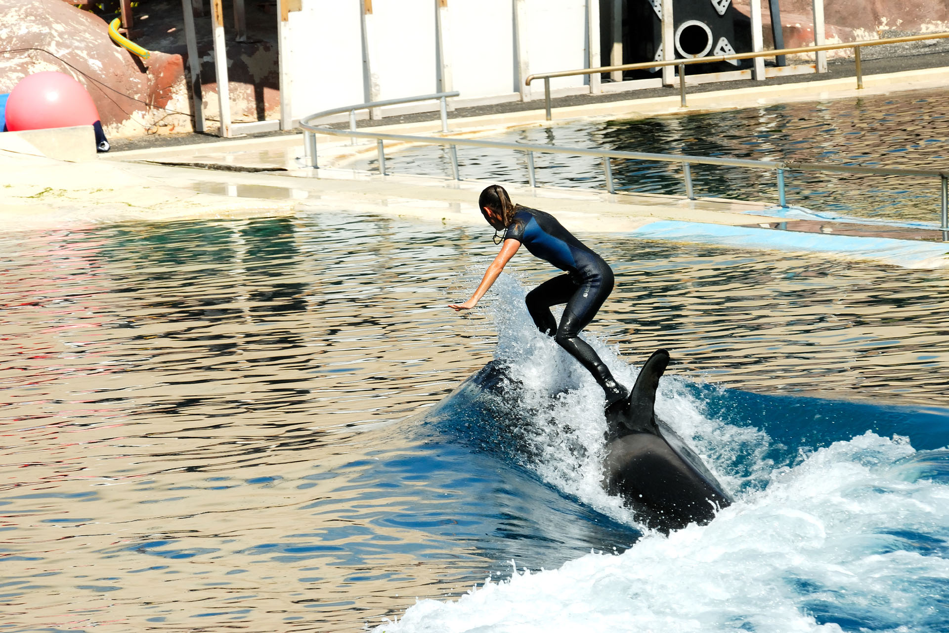 Marineland2006 016