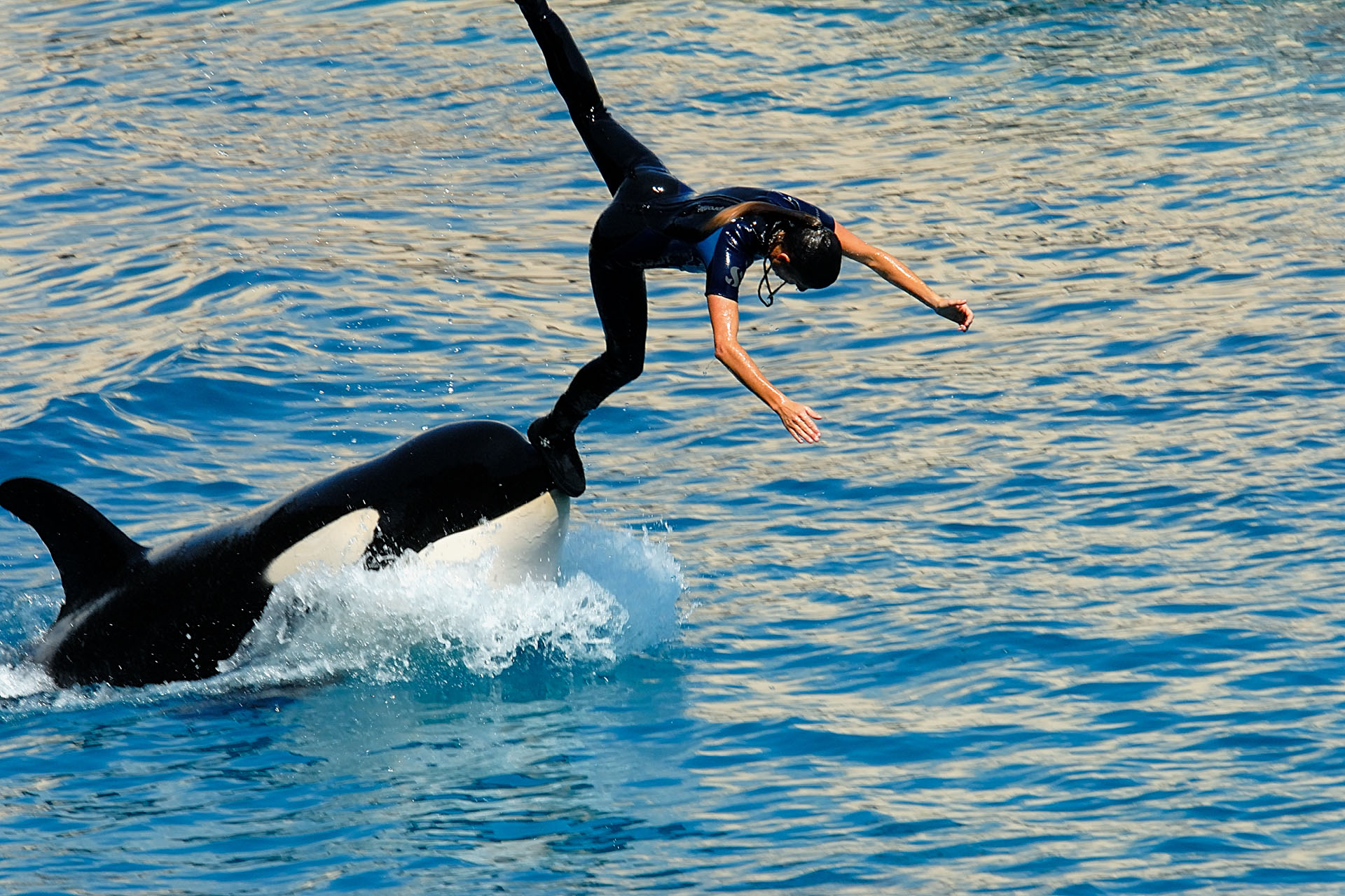 Marineland2006 017