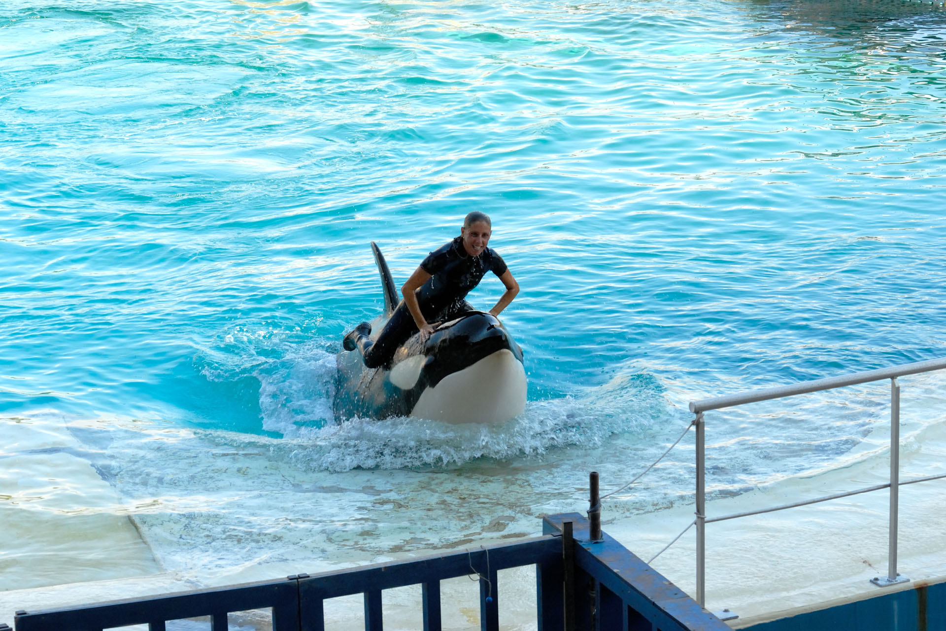 Marineland2006 018