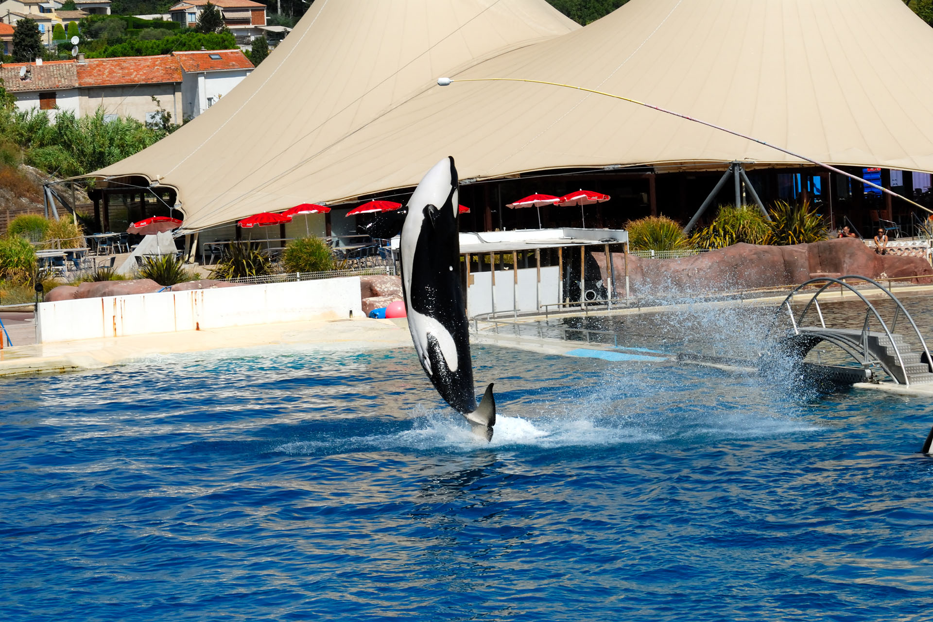 Marineland2006 022