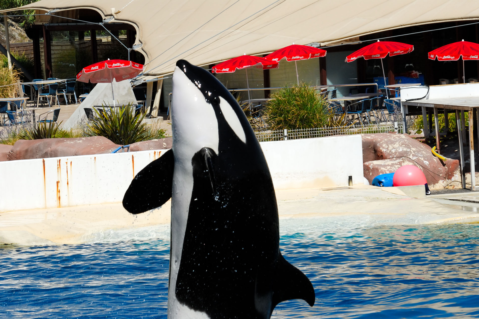 Marineland2006 024