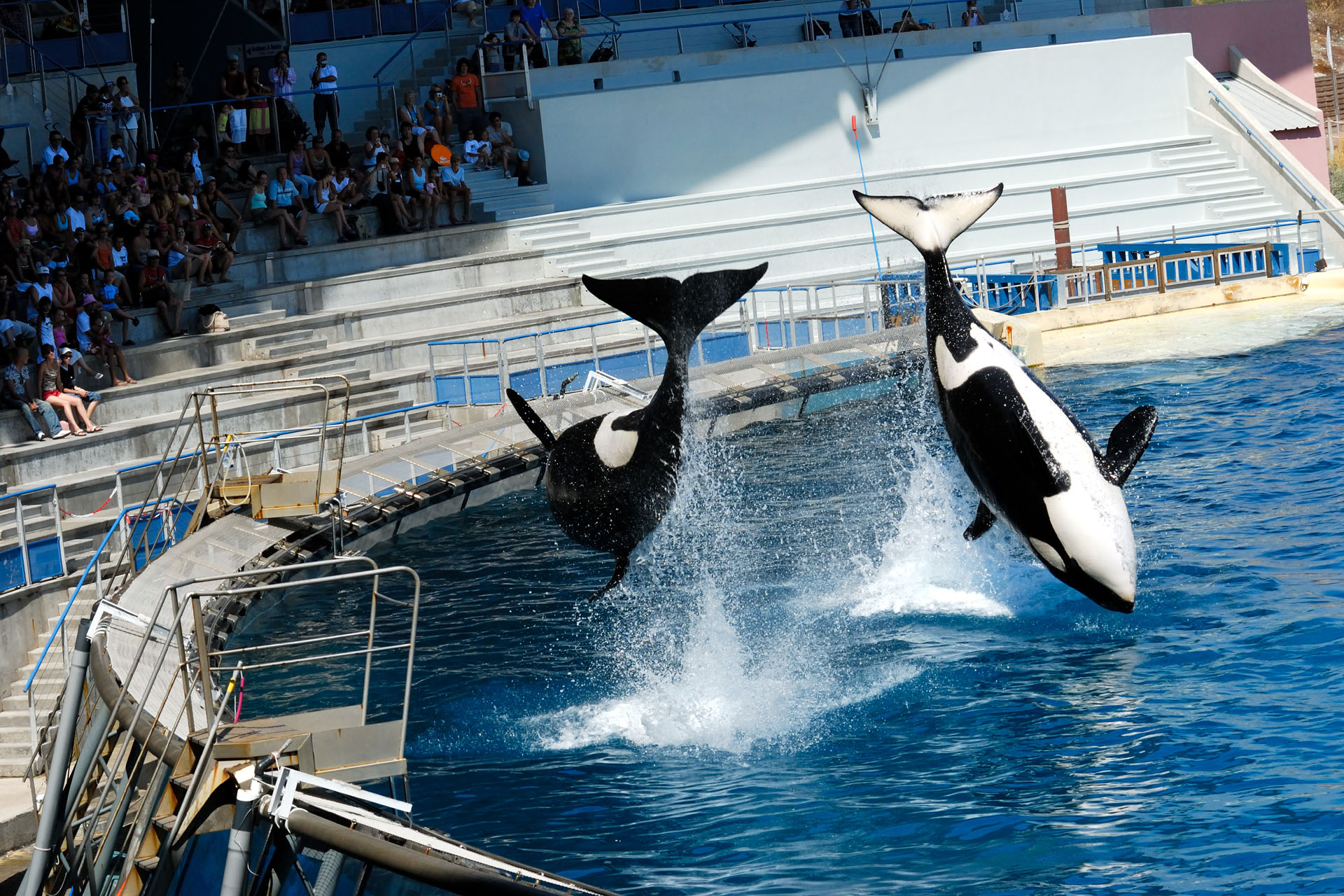 Marineland2006 025