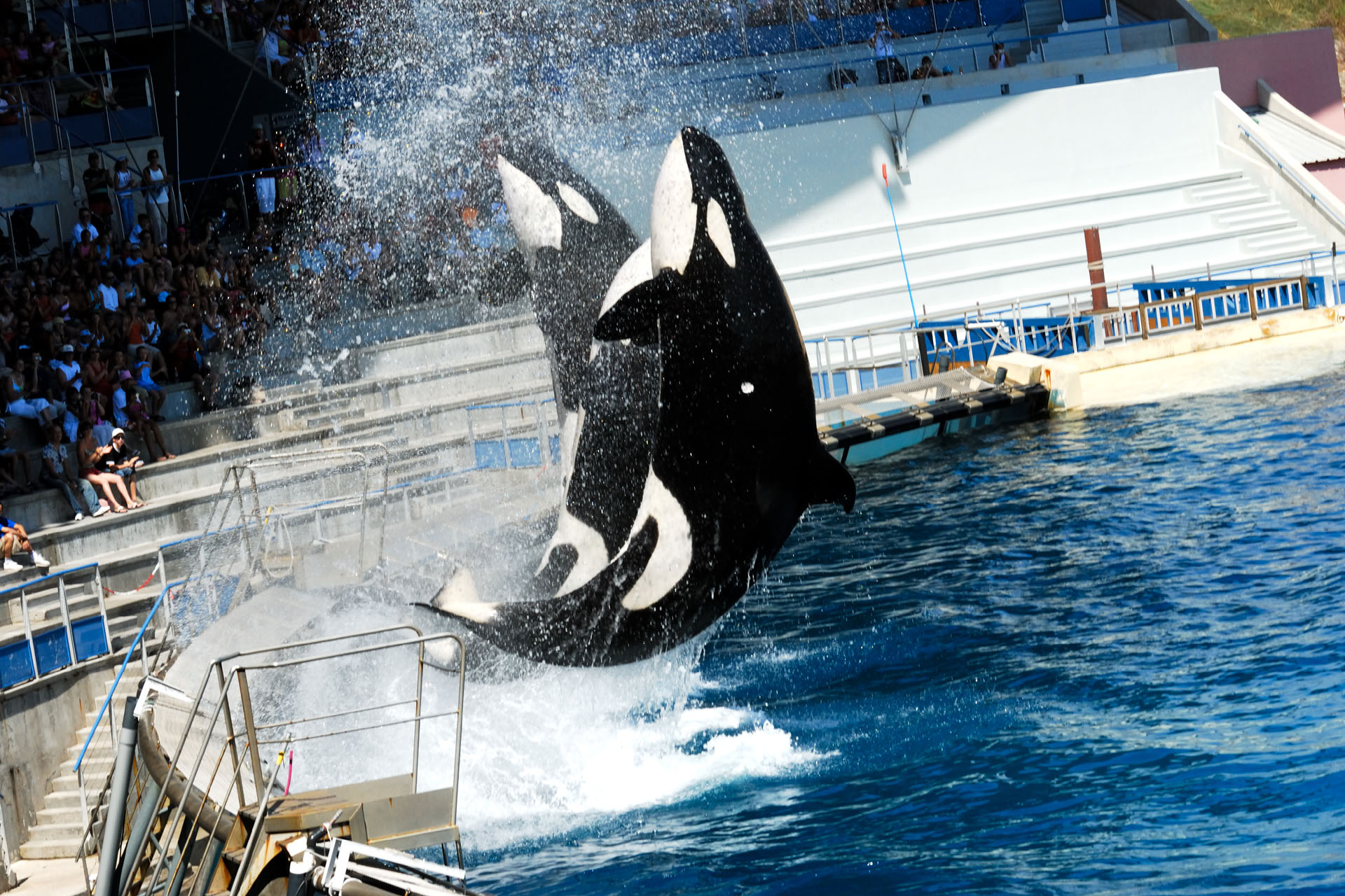 Marineland2006 026