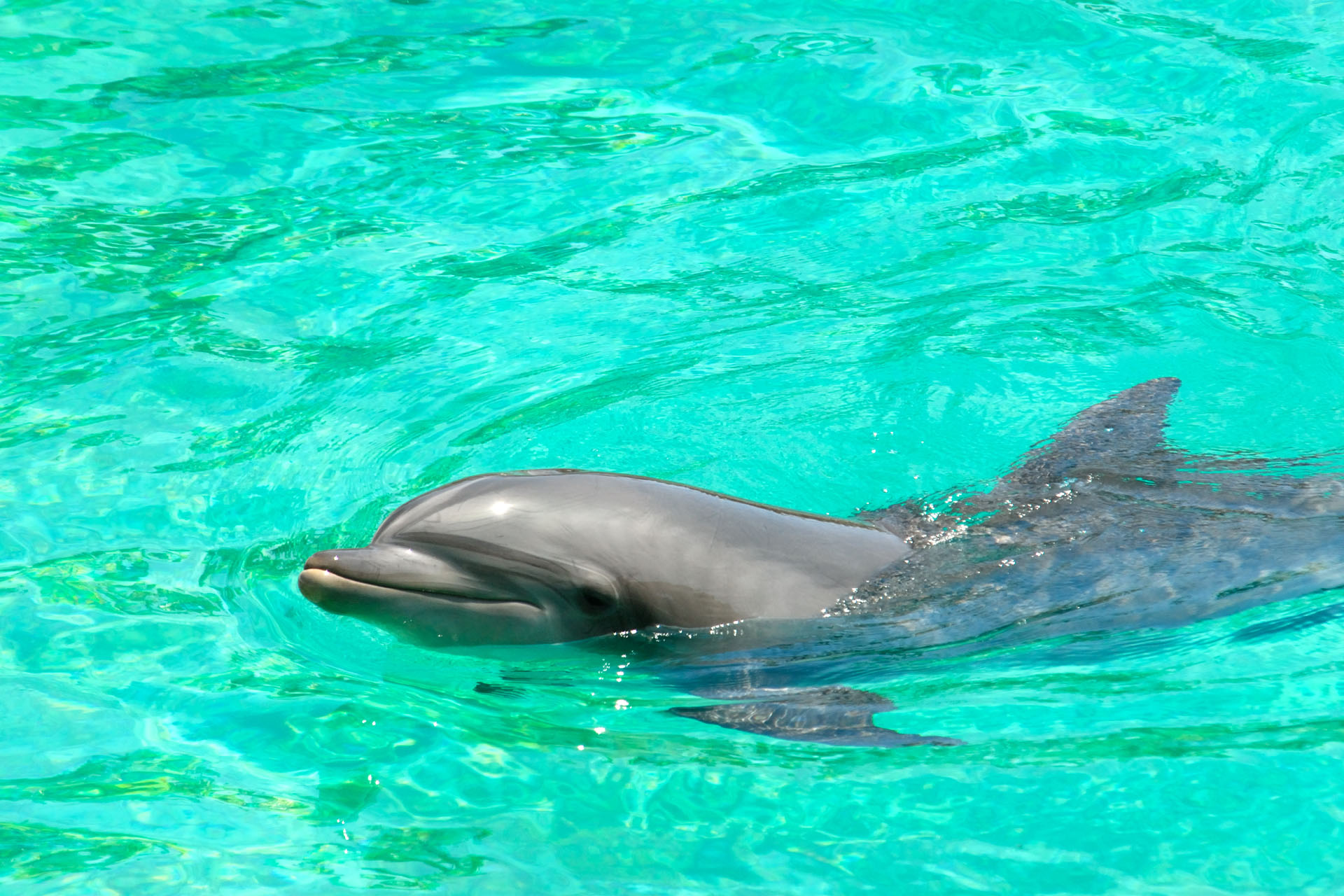 Marineland2006 028