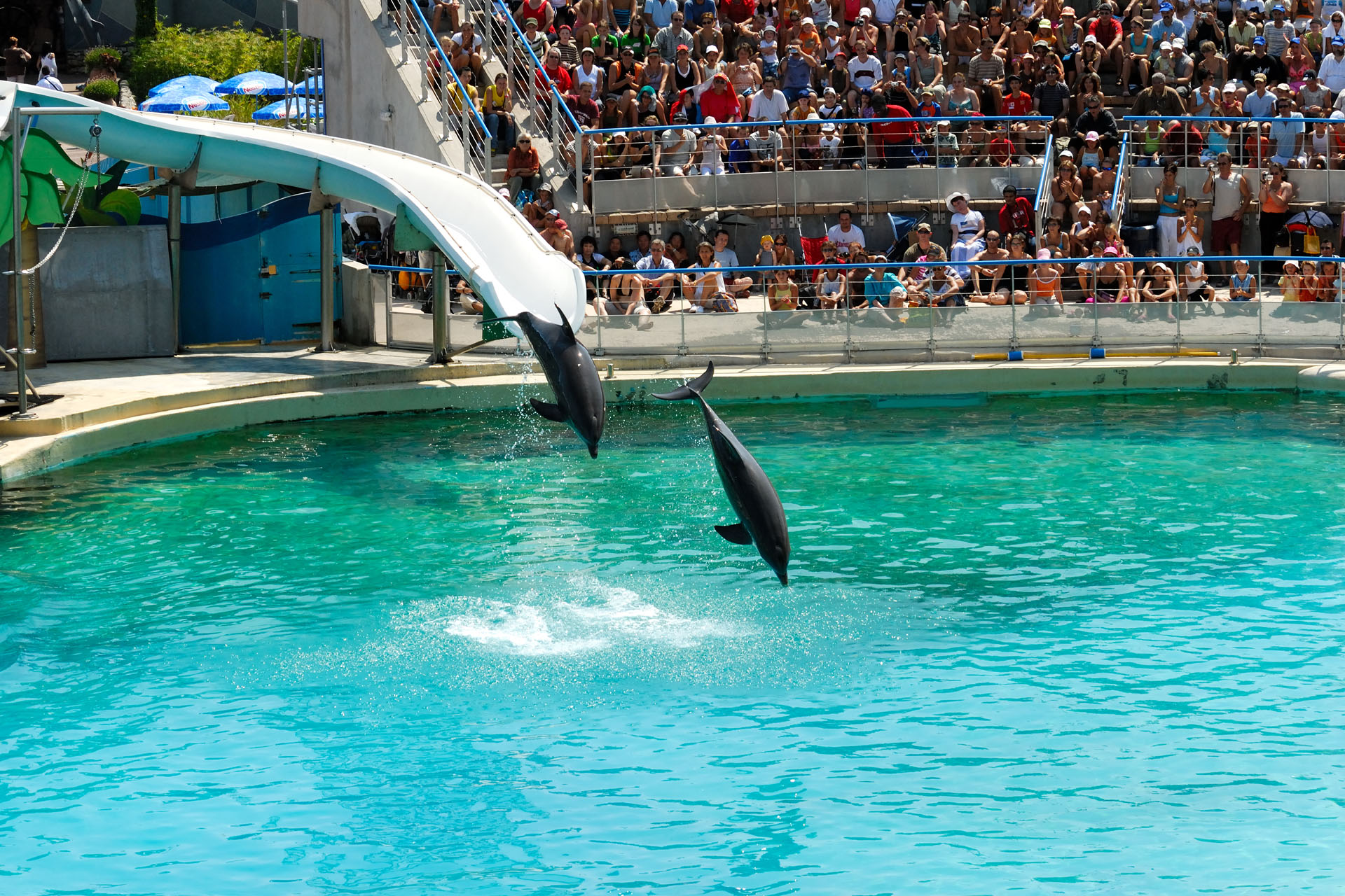 Marineland2006 029
