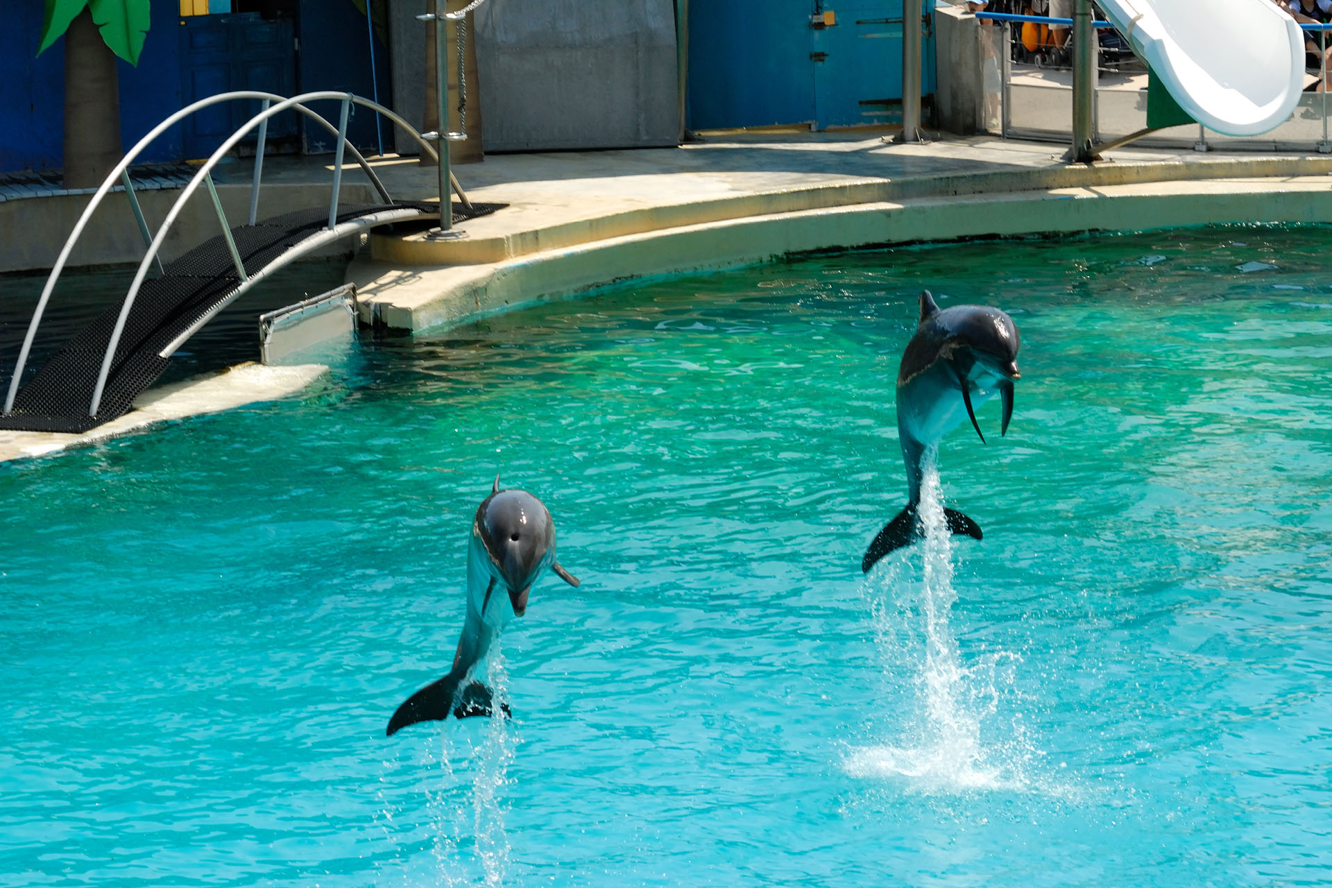 Marineland2006 030