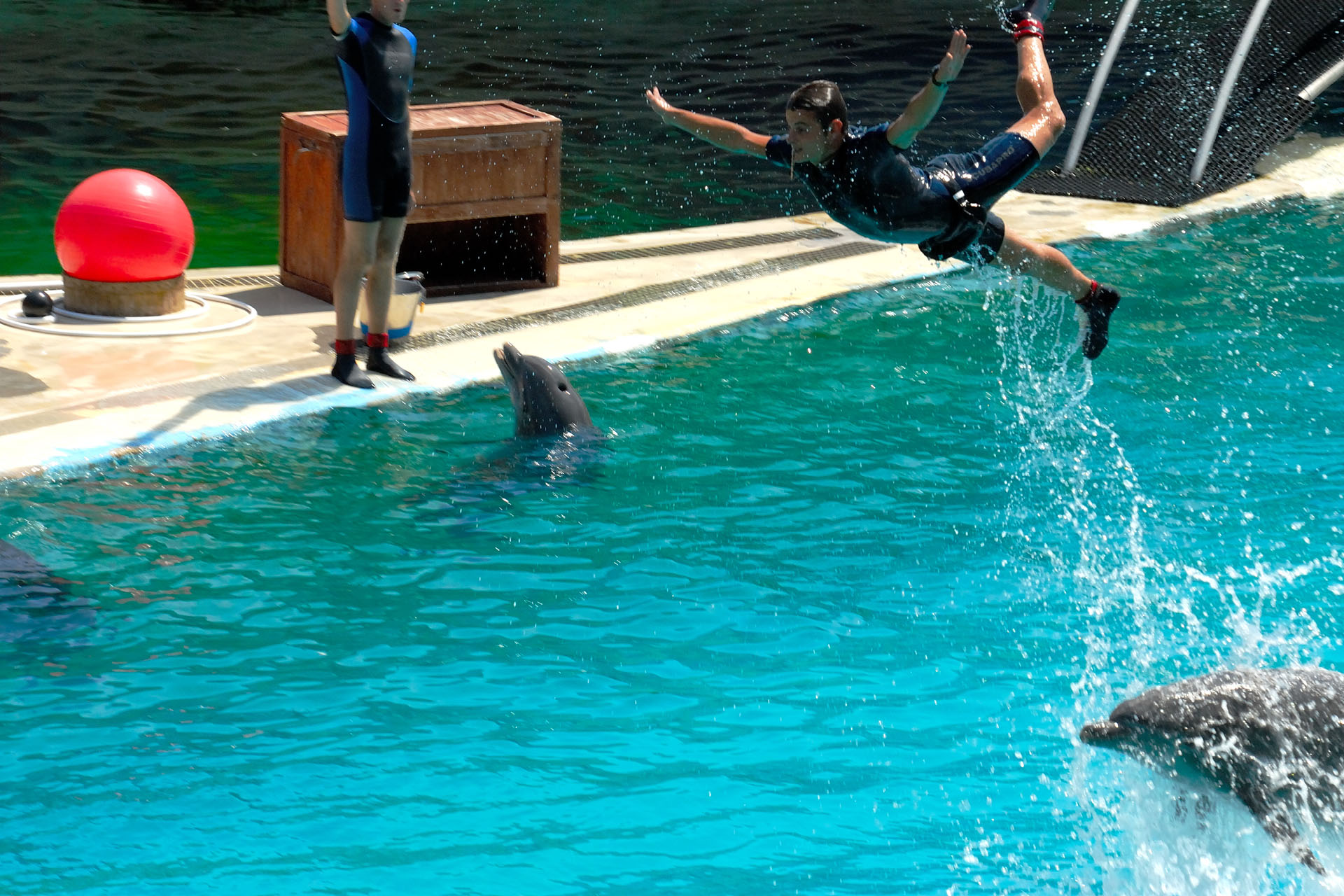 Marineland2006 031