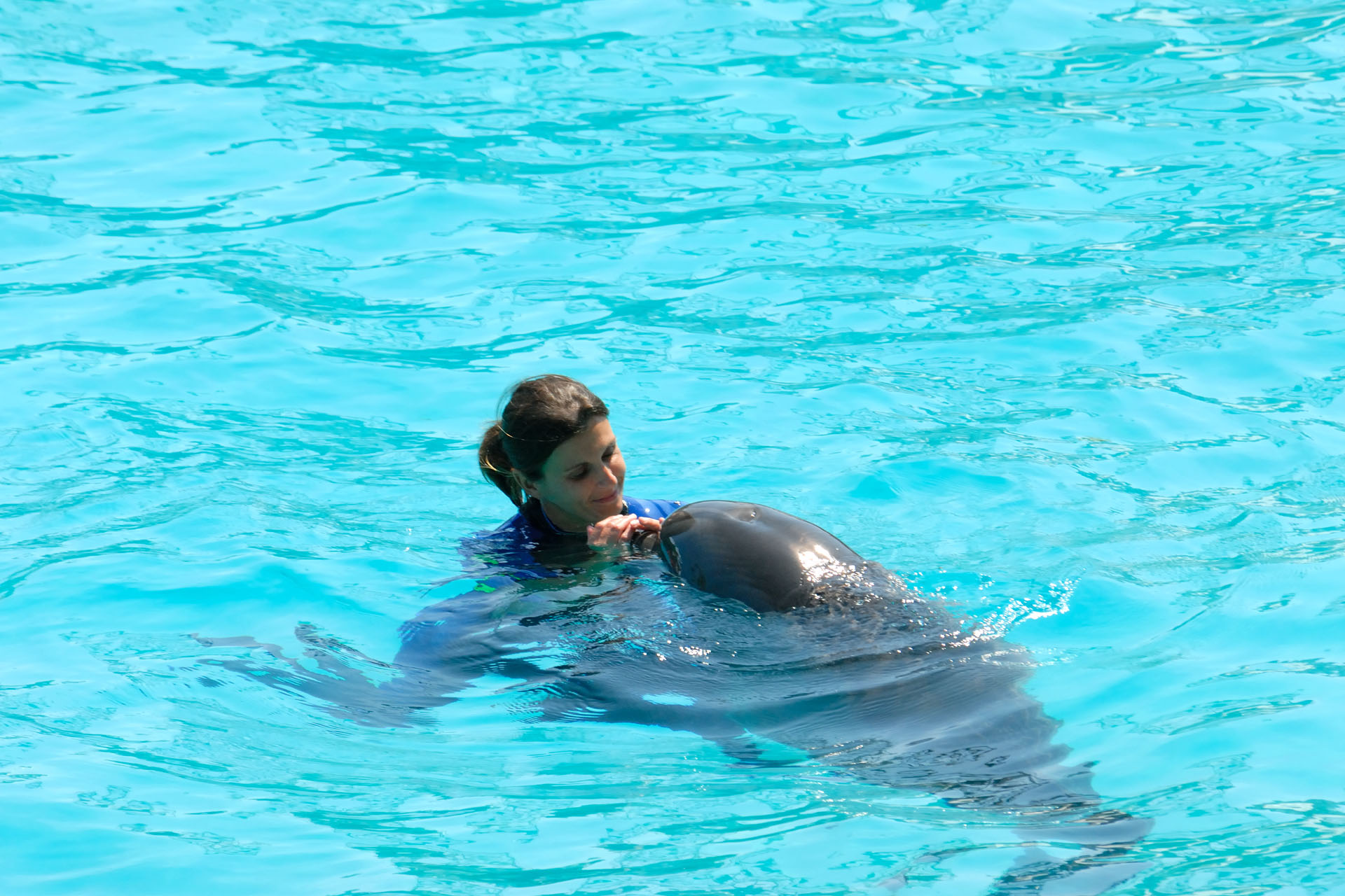 Marineland2006 032