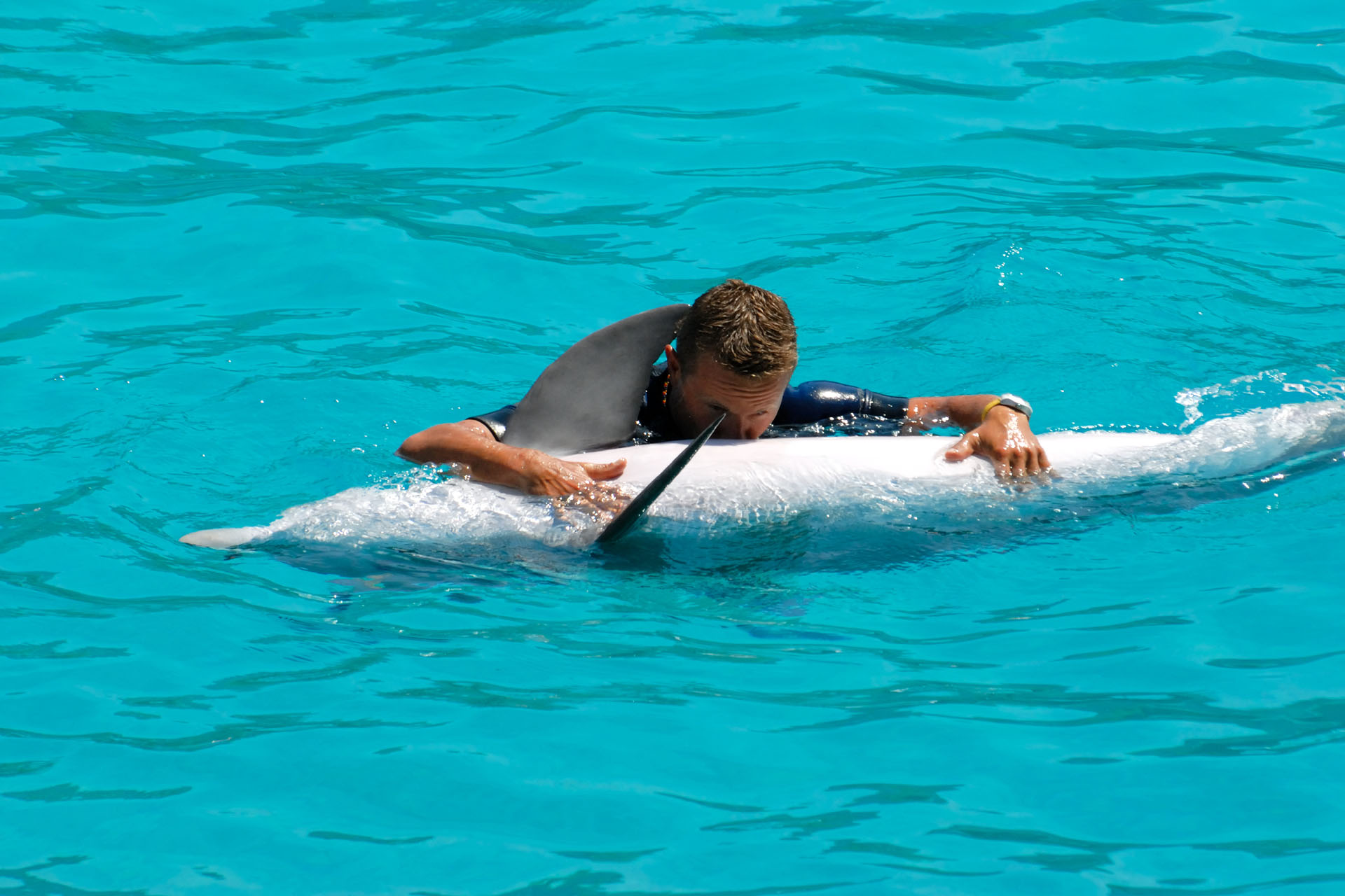 Marineland2006 033