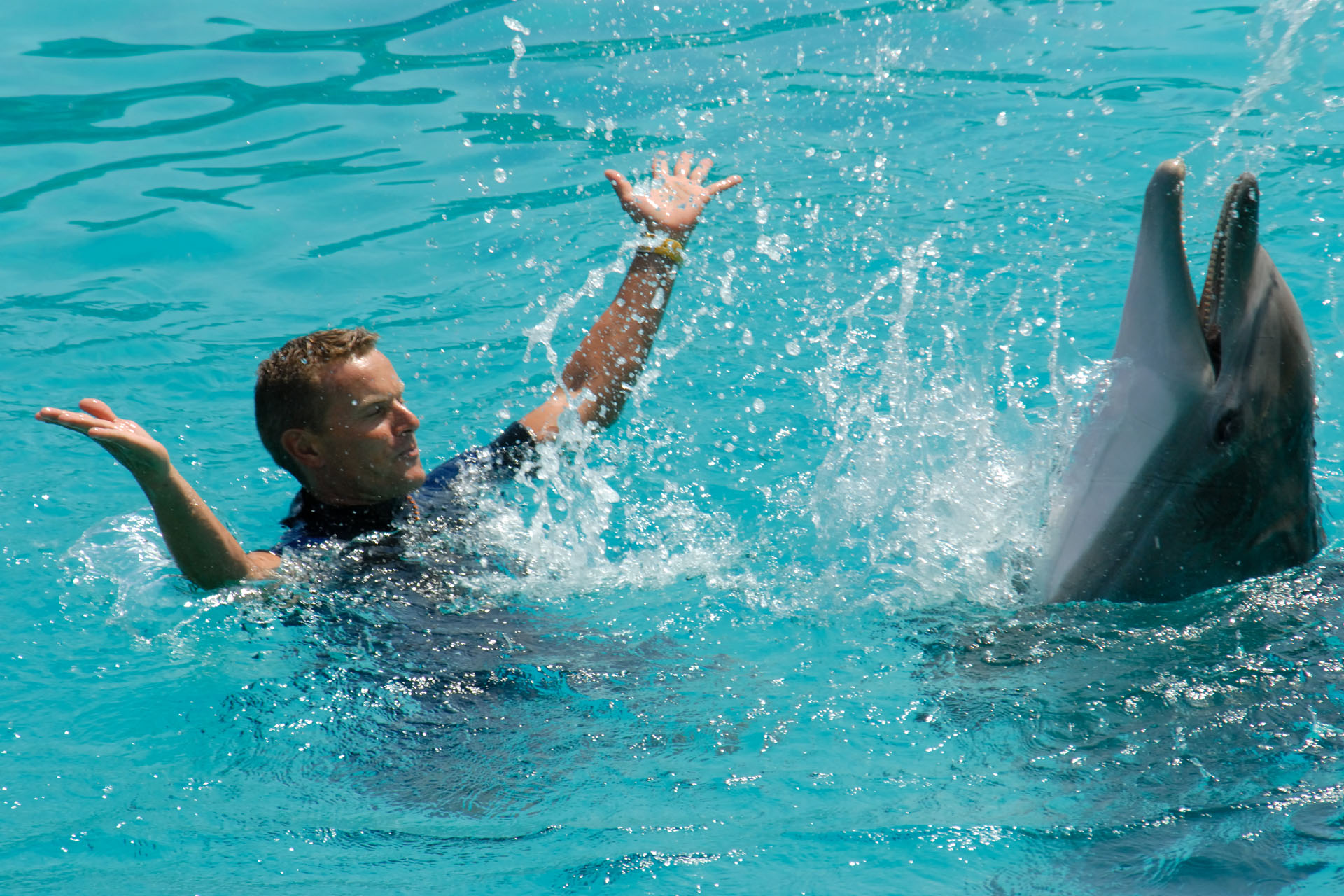 Marineland2006 034
