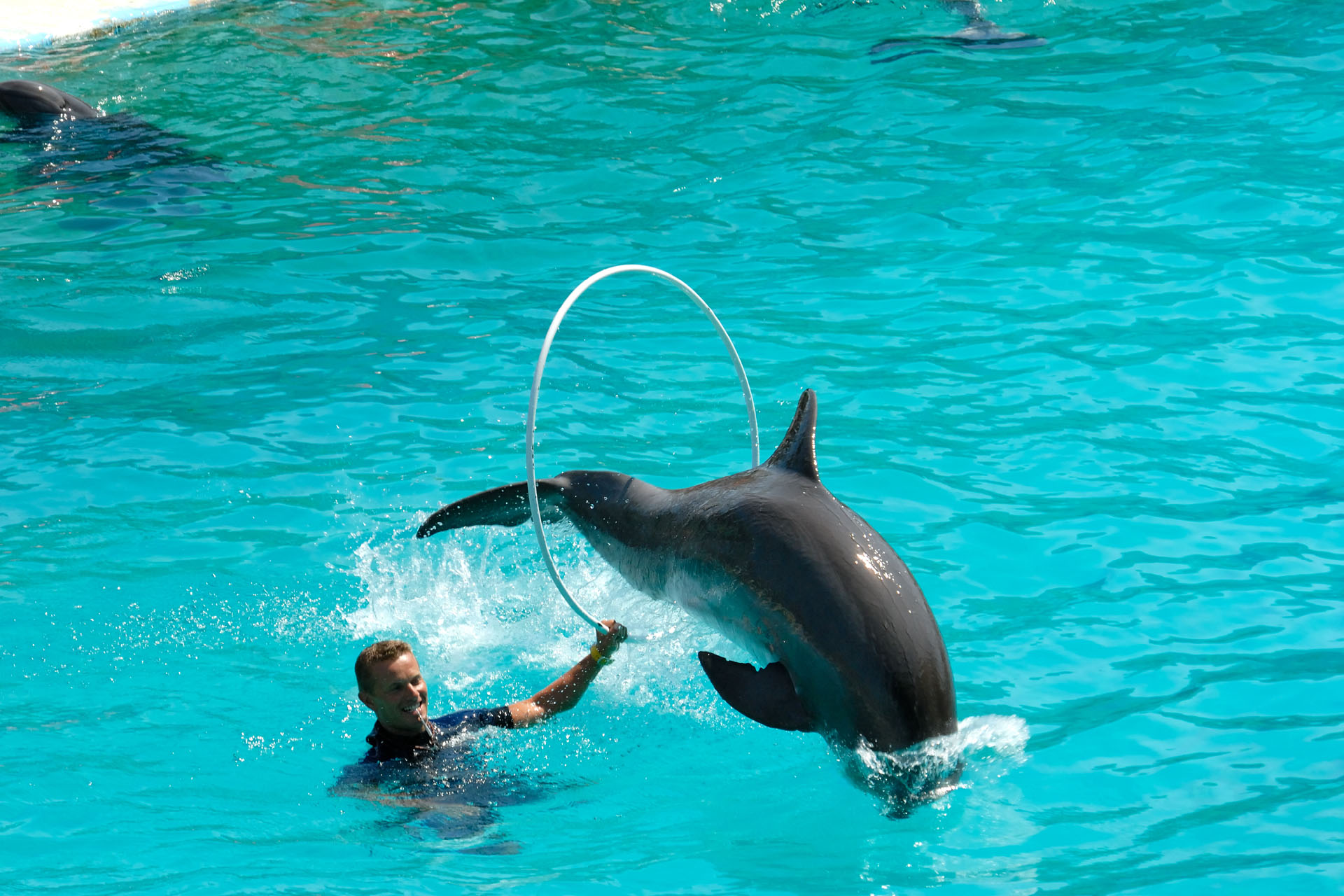 Marineland2006 037