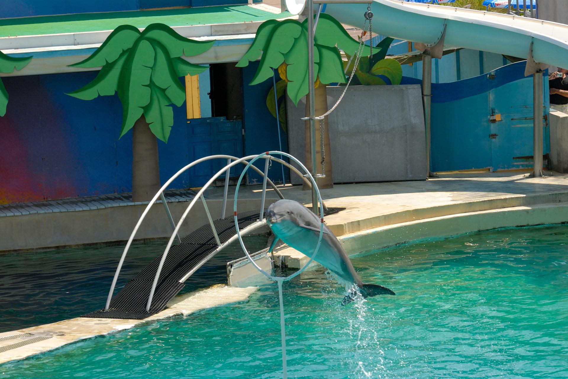 Marineland2006 038