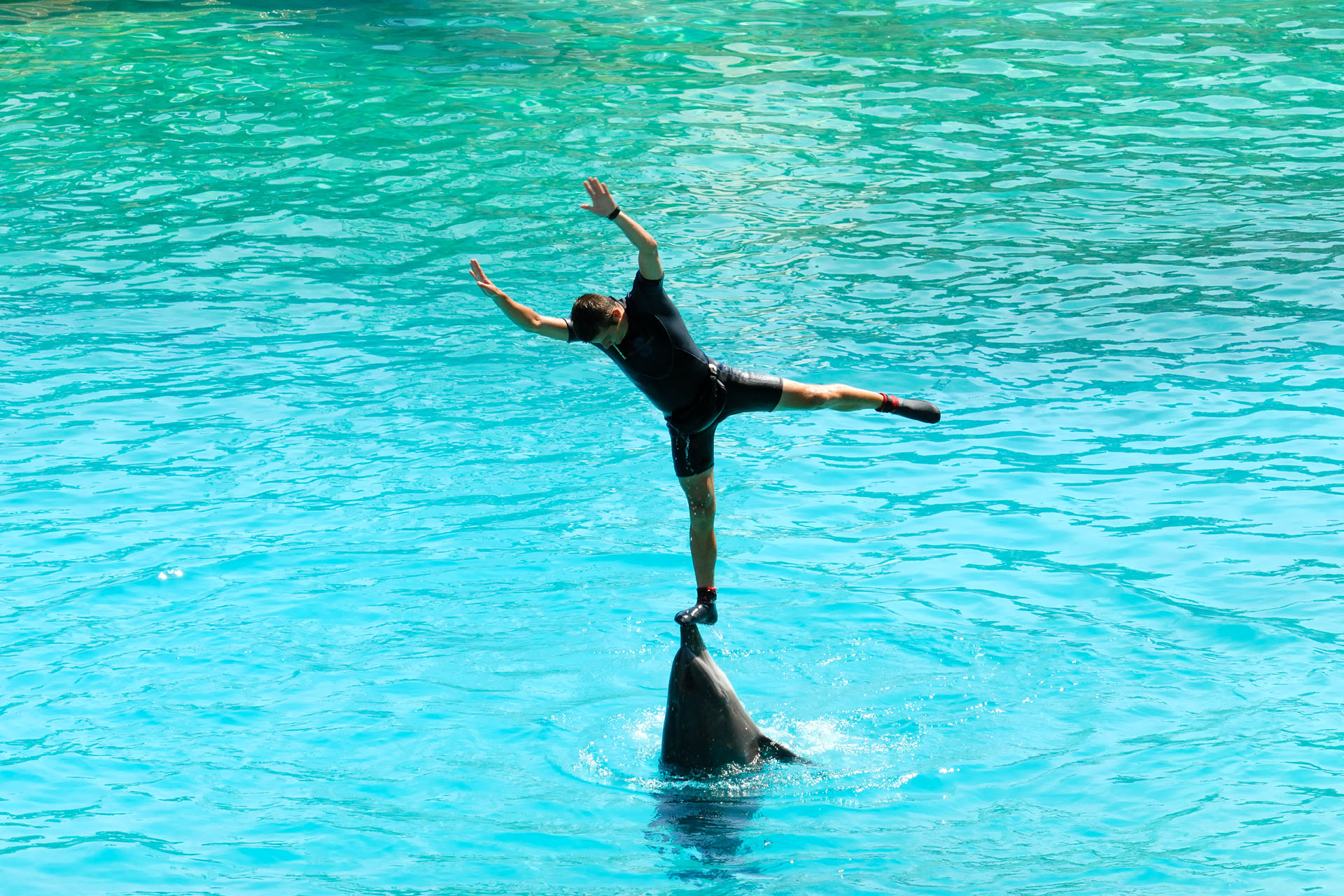 Marineland2006 040