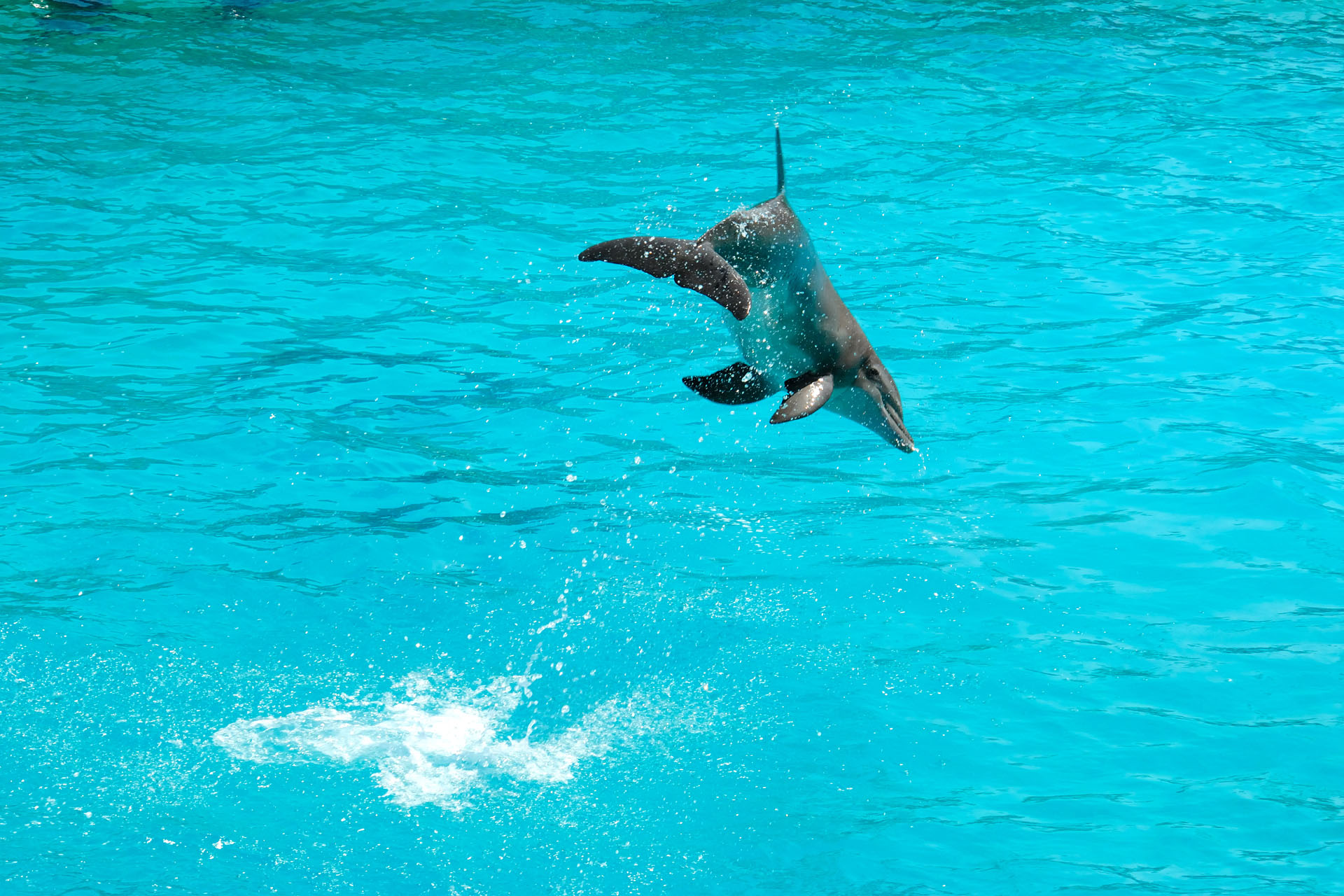 Marineland2006 041
