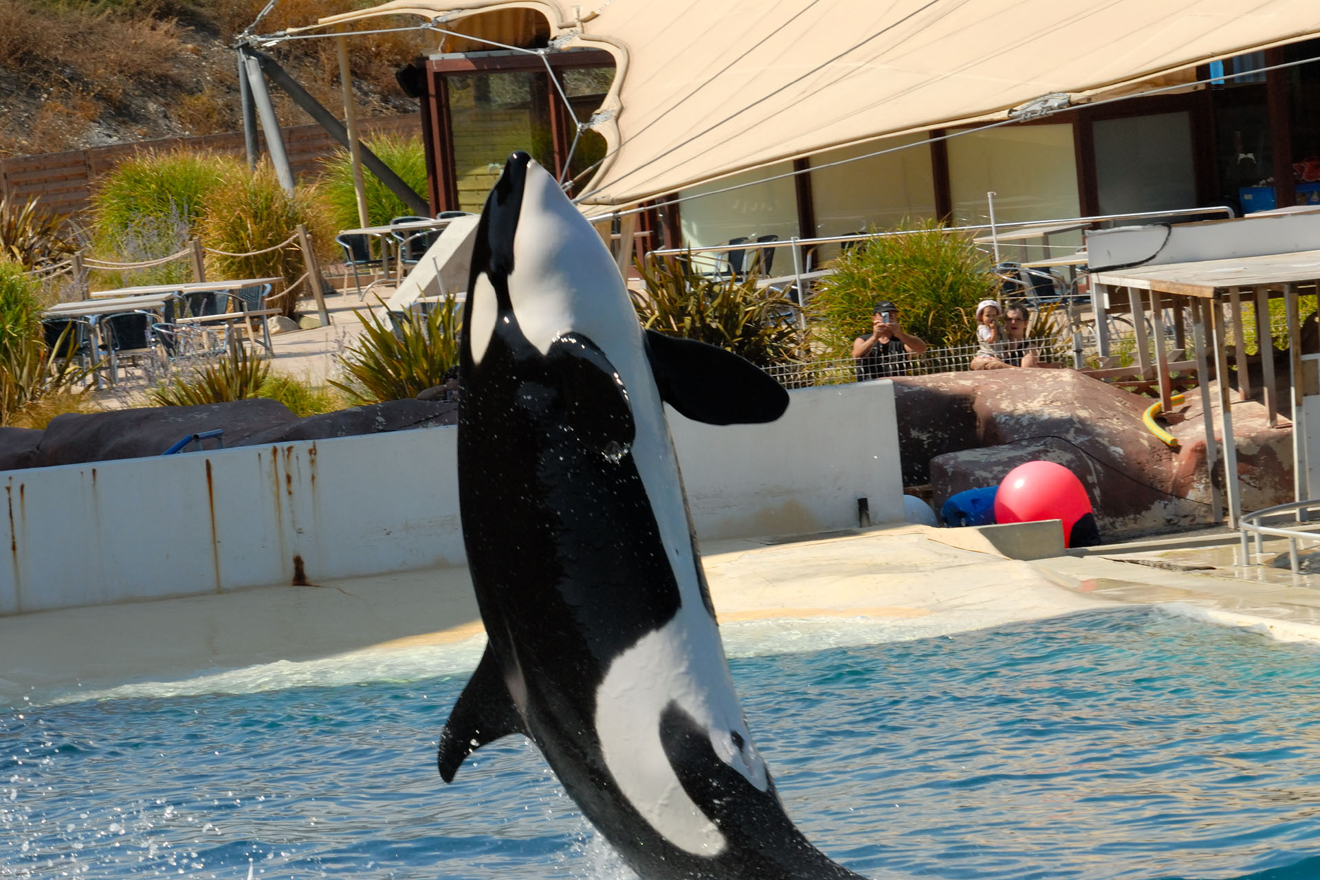 Marineland2006 045