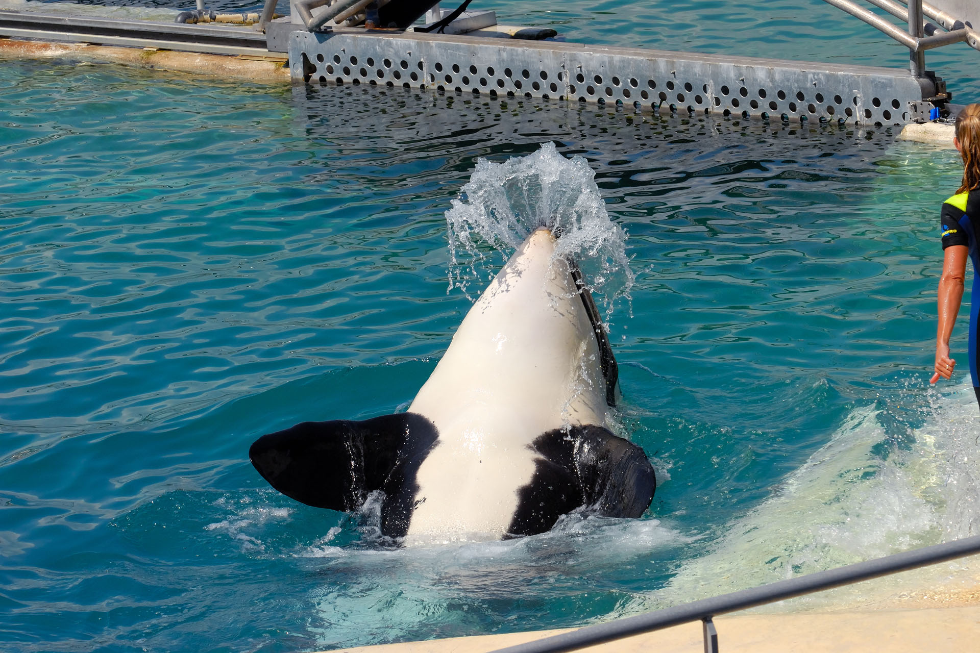 Marineland2006 047