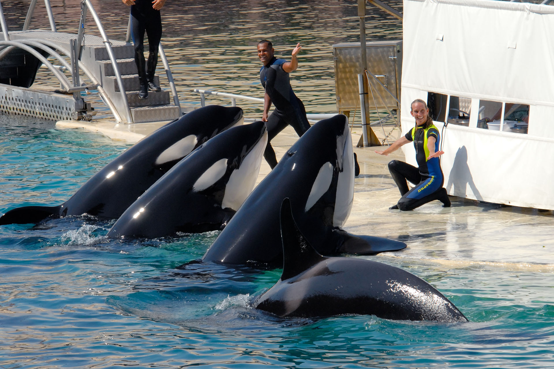 Marineland2006 052