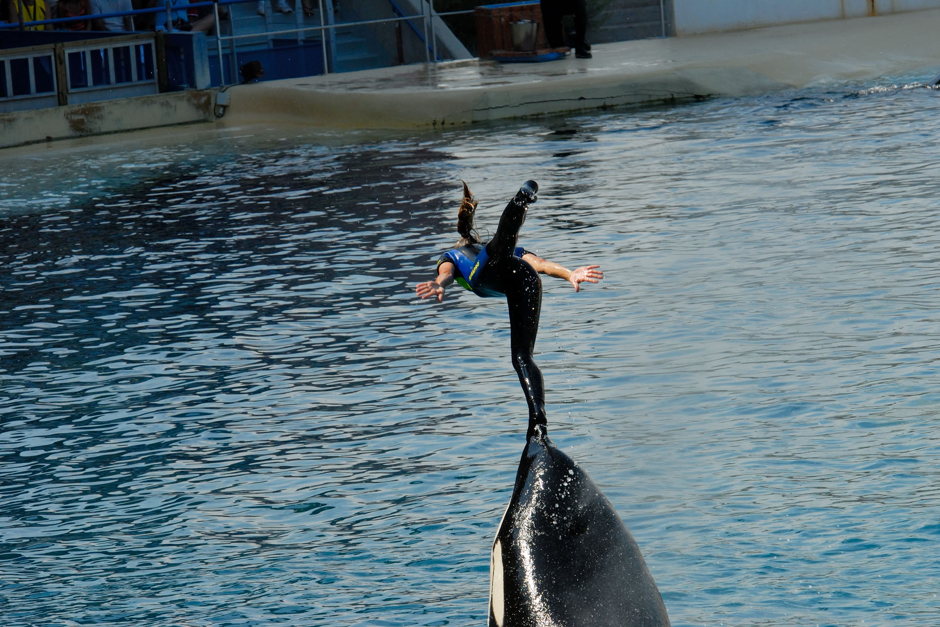 Marineland2006 055