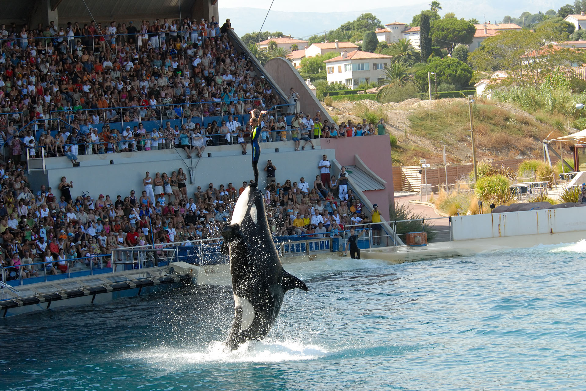 Marineland2006 058