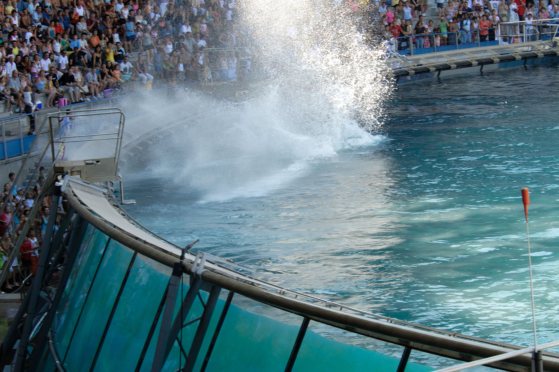 Marineland2006 060