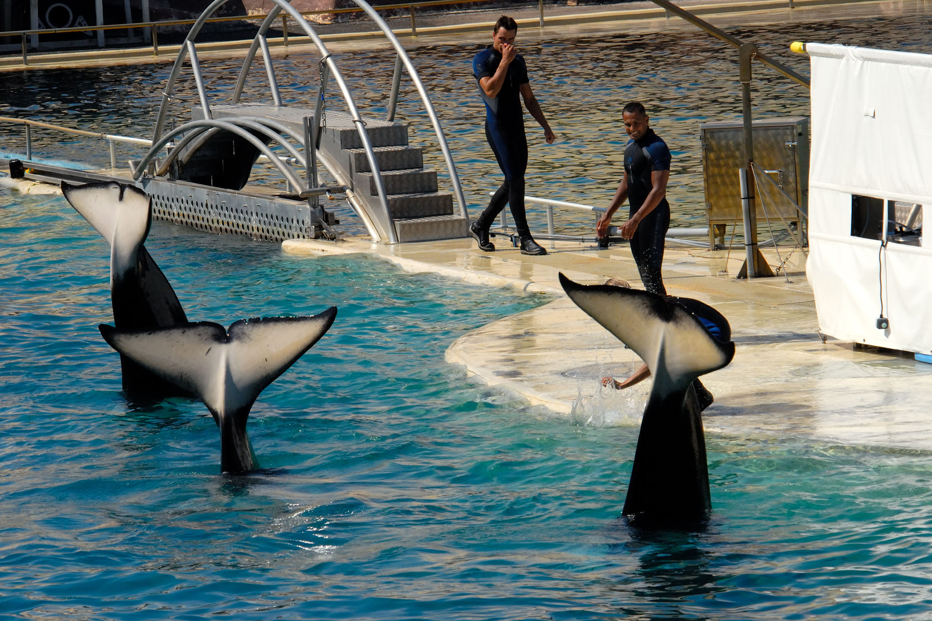 Marineland2006 061