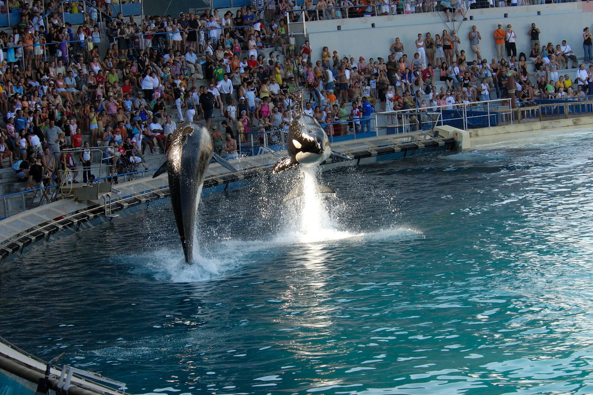 Marineland2006 062