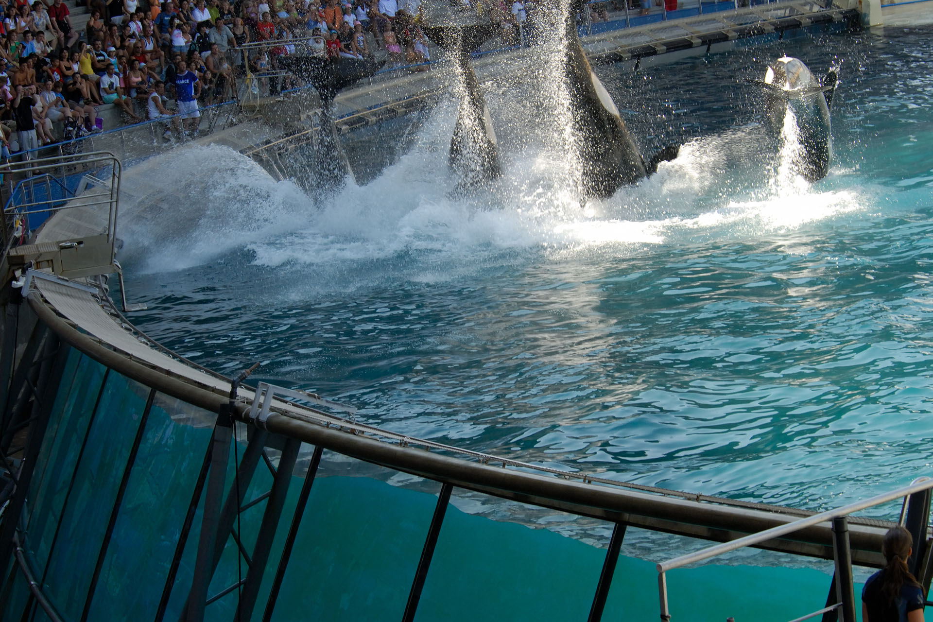 Marineland2006 065