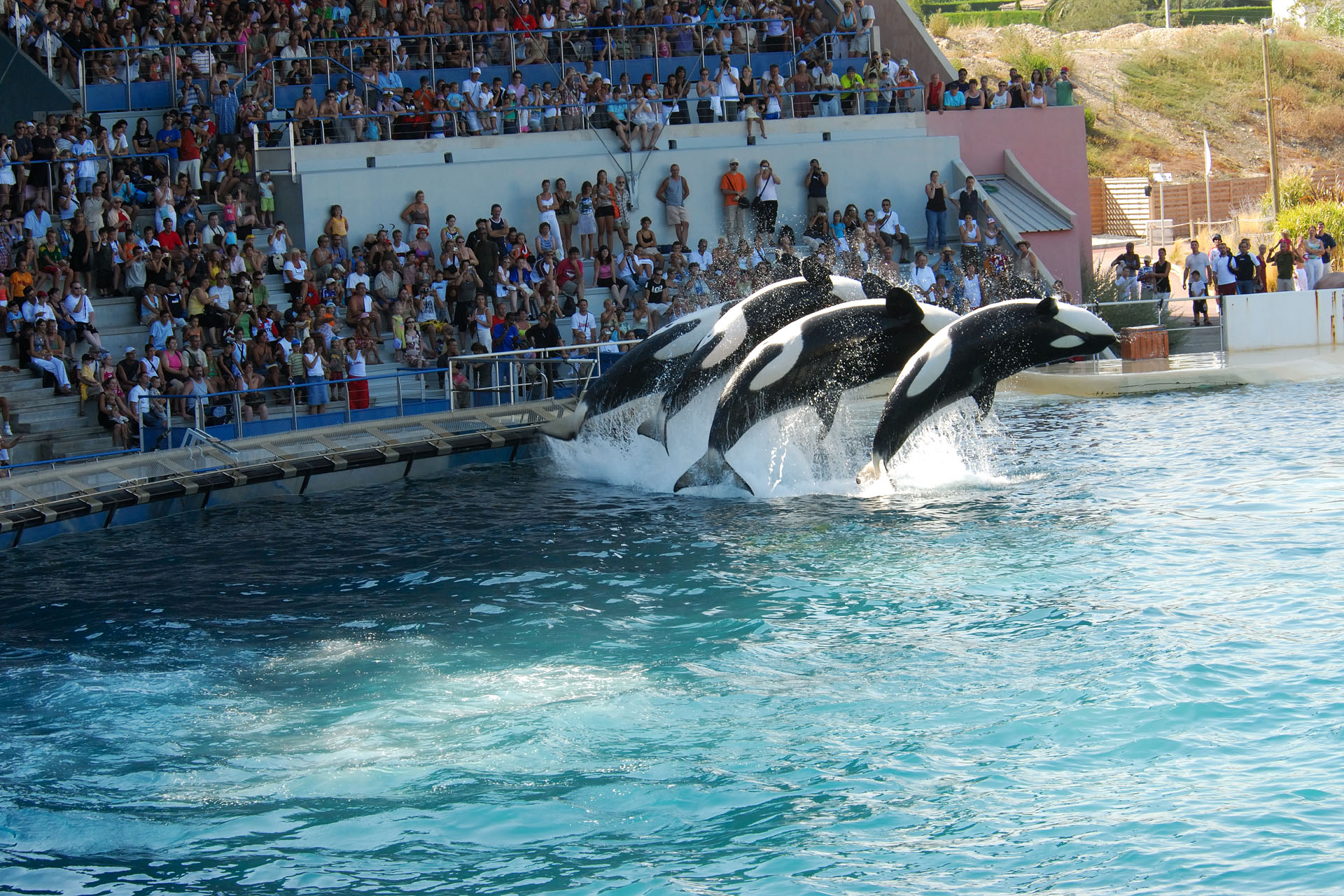 Marineland2006 066