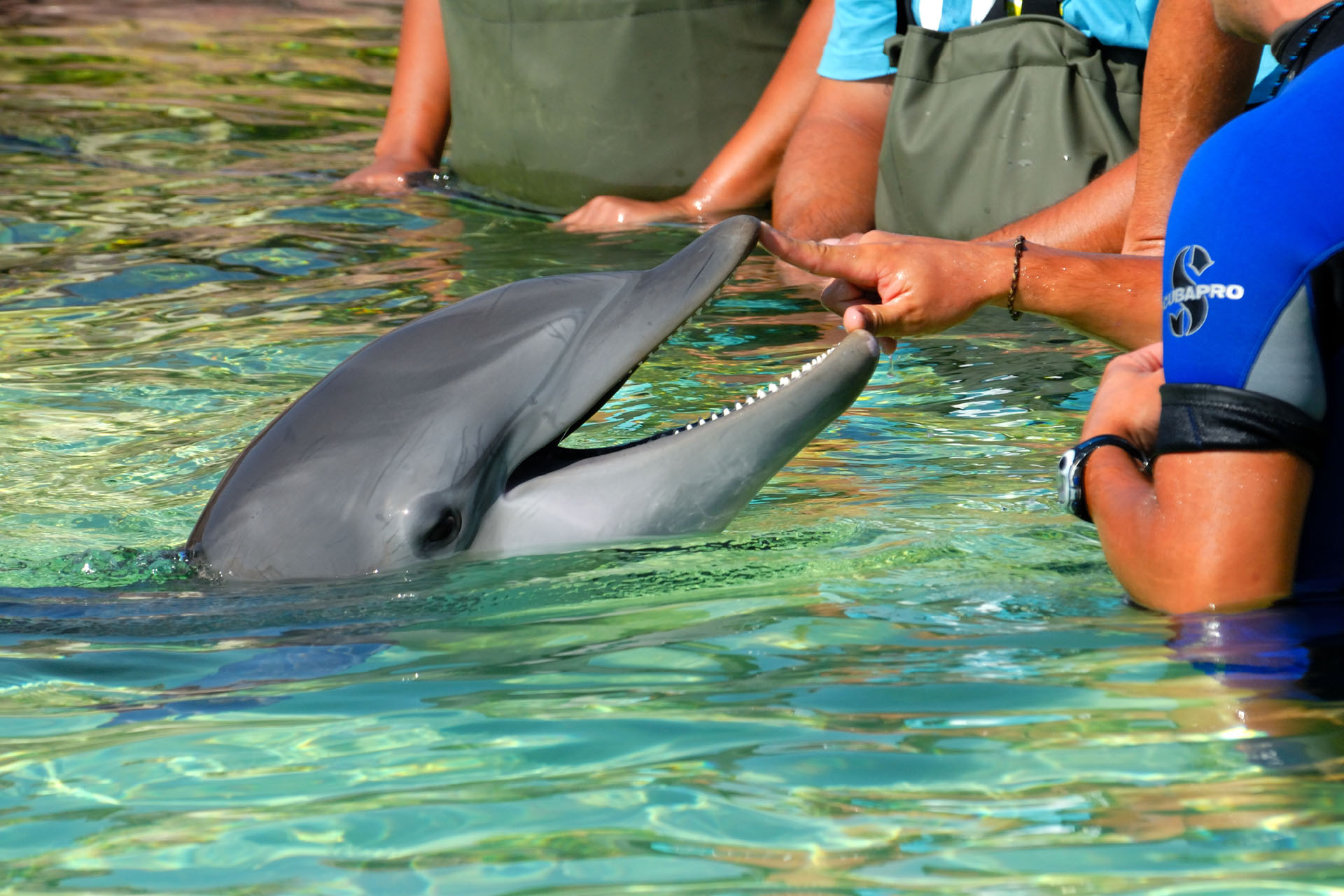 Marineland2006 068