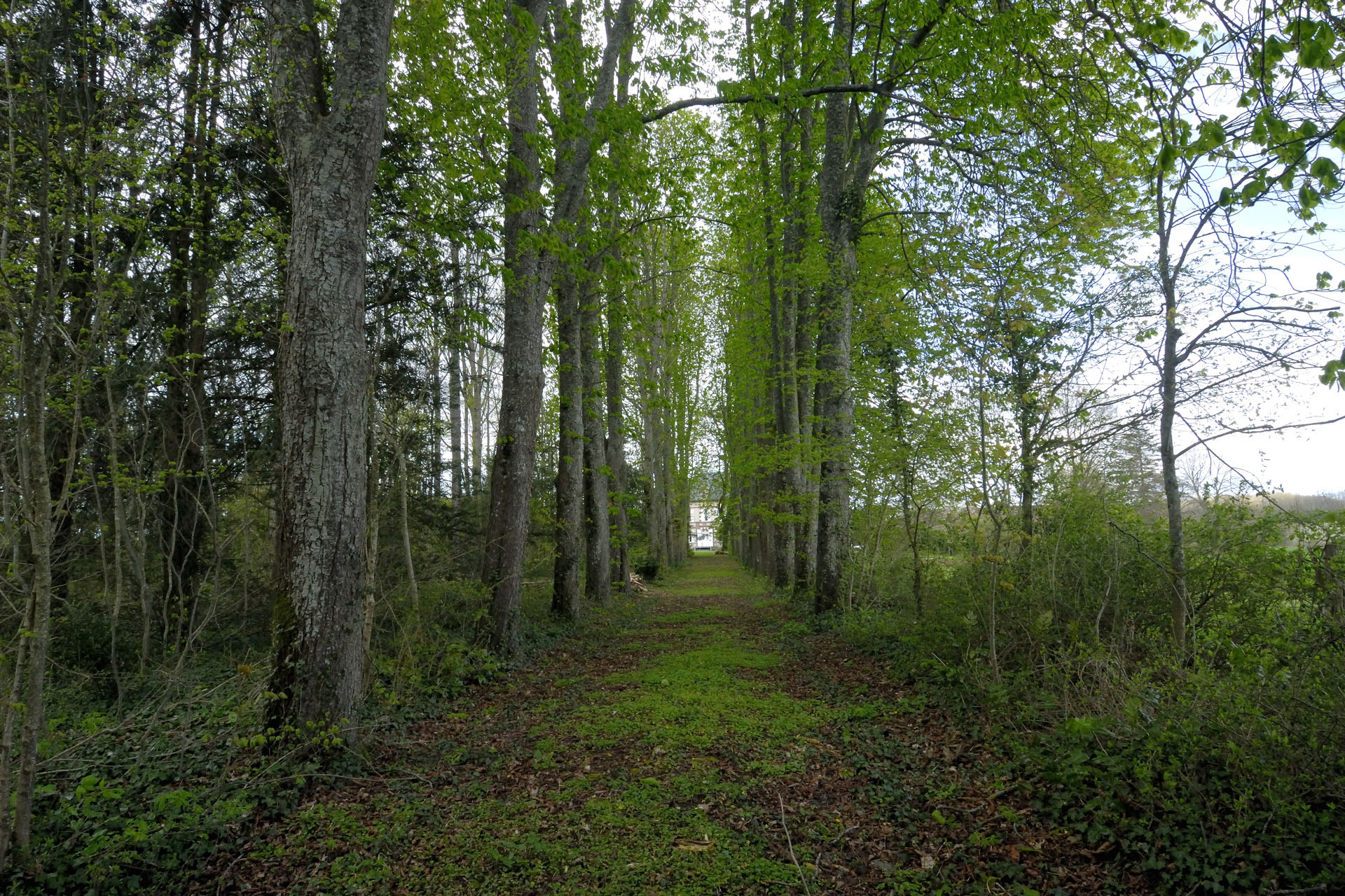 Millois 005
