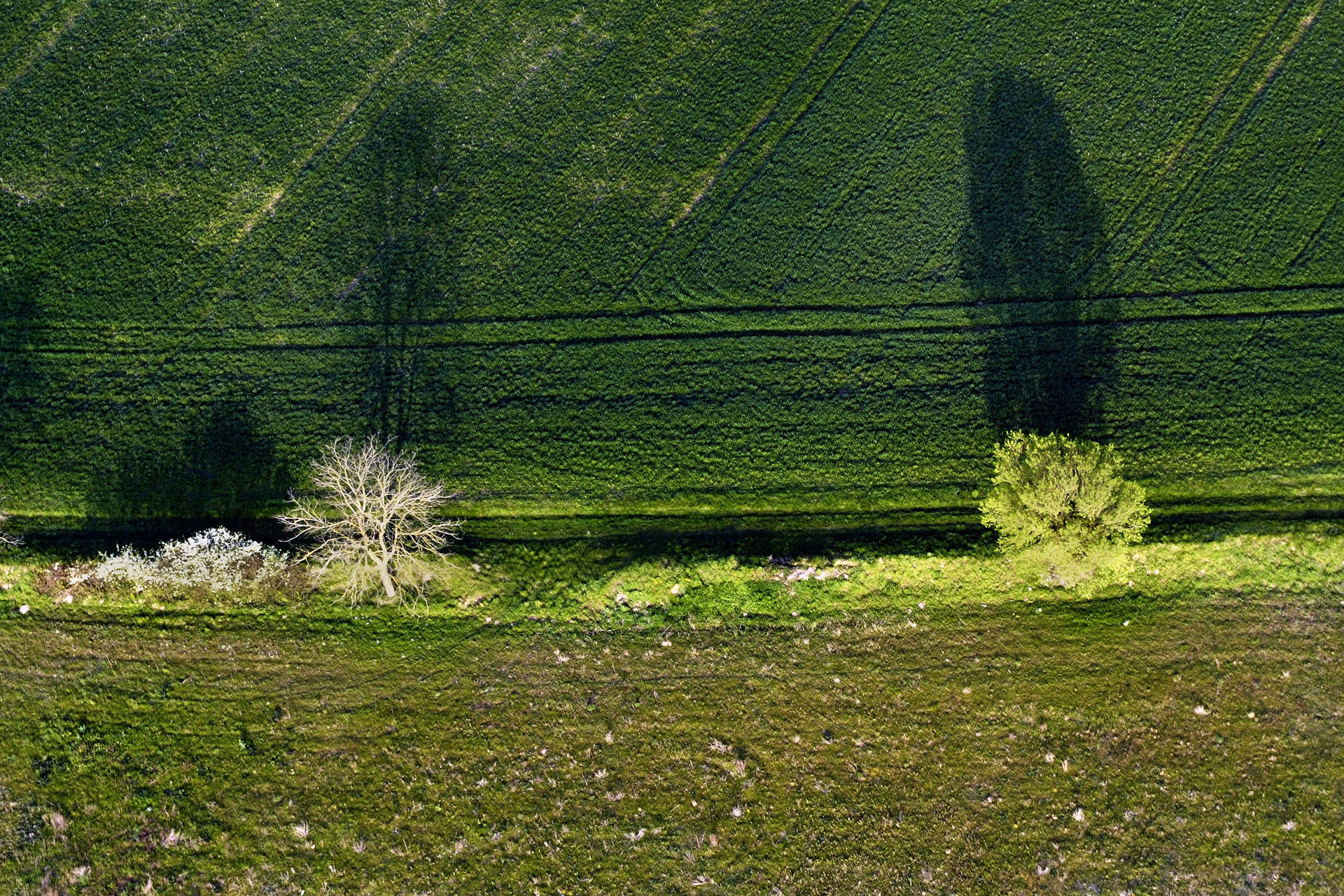 MontgolfiereTouraine 044