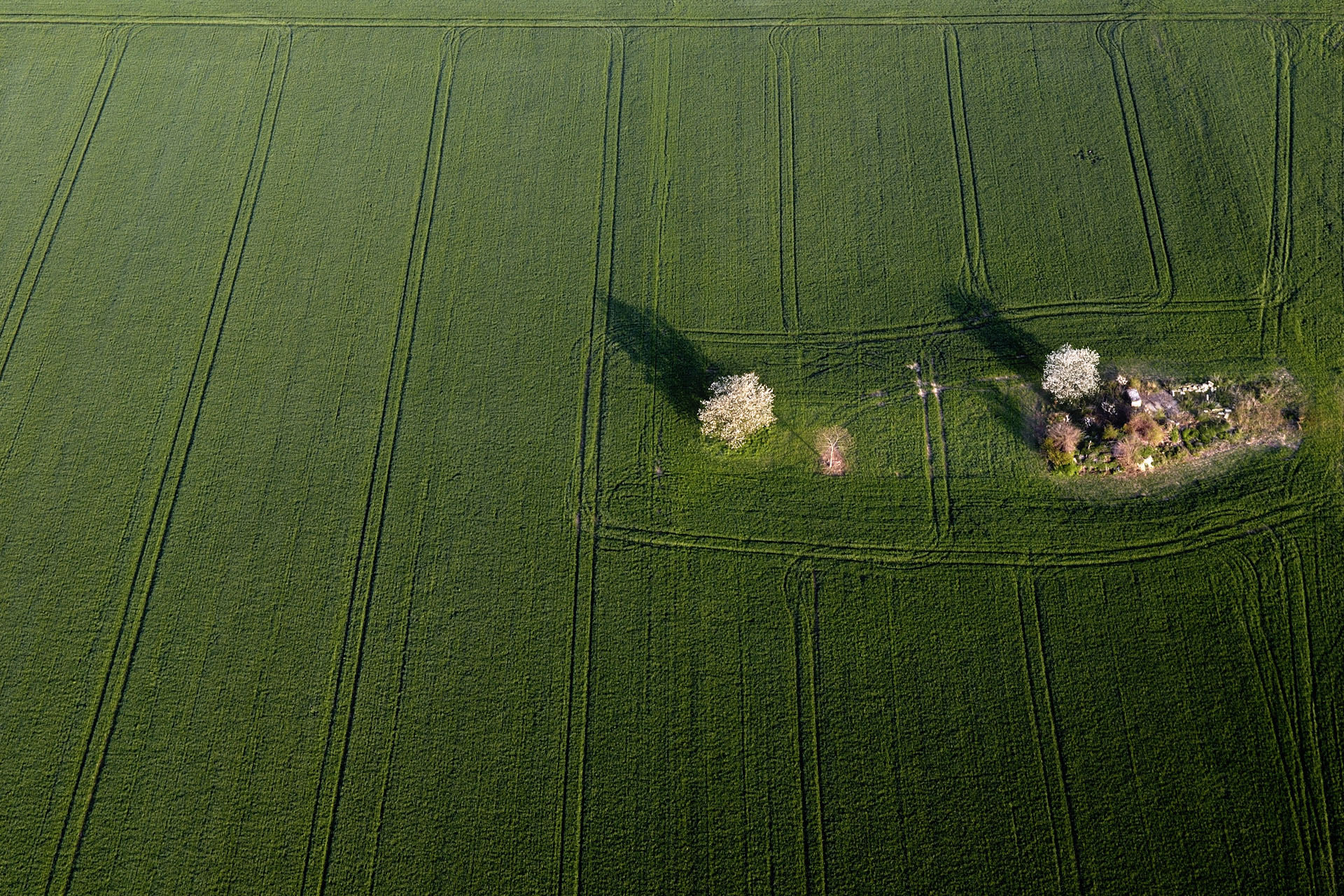 MontgolfiereTouraine 046